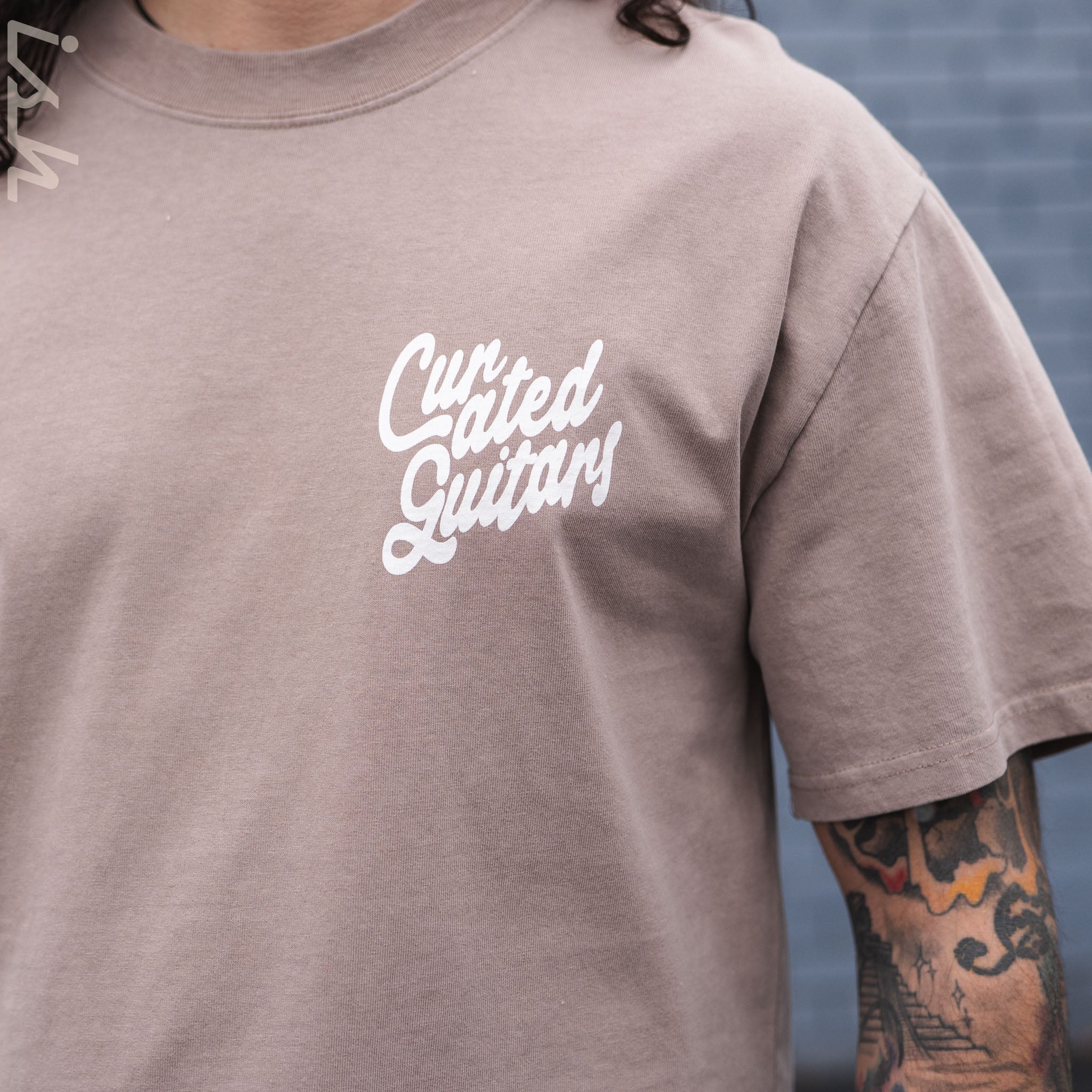 Ish Cactus Heavy Faded Tee - Faded Mushroom - Image 3