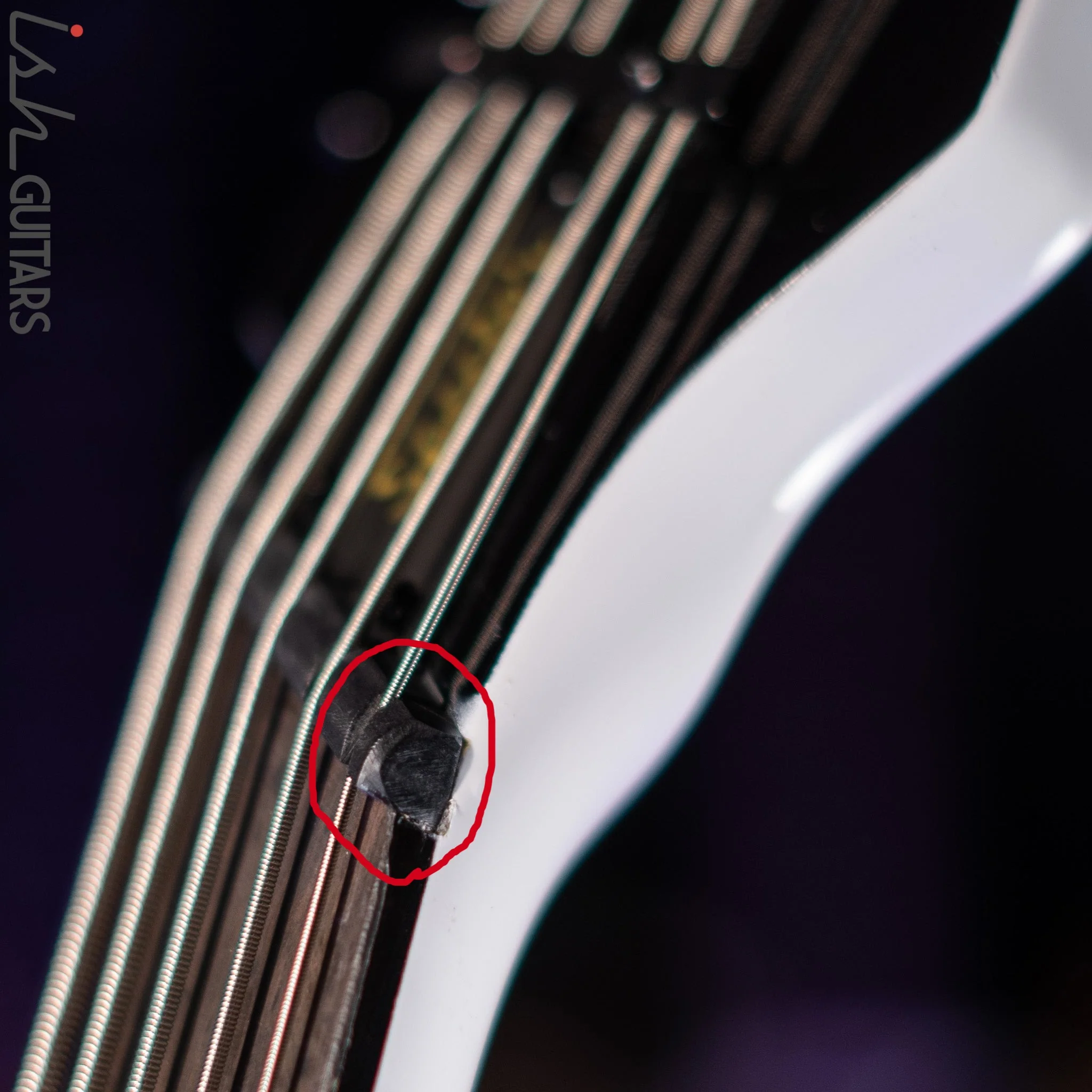 Ish X Spector NS Dimension 5 String EMG Darkglass White Gloss DEMO - Image 7
