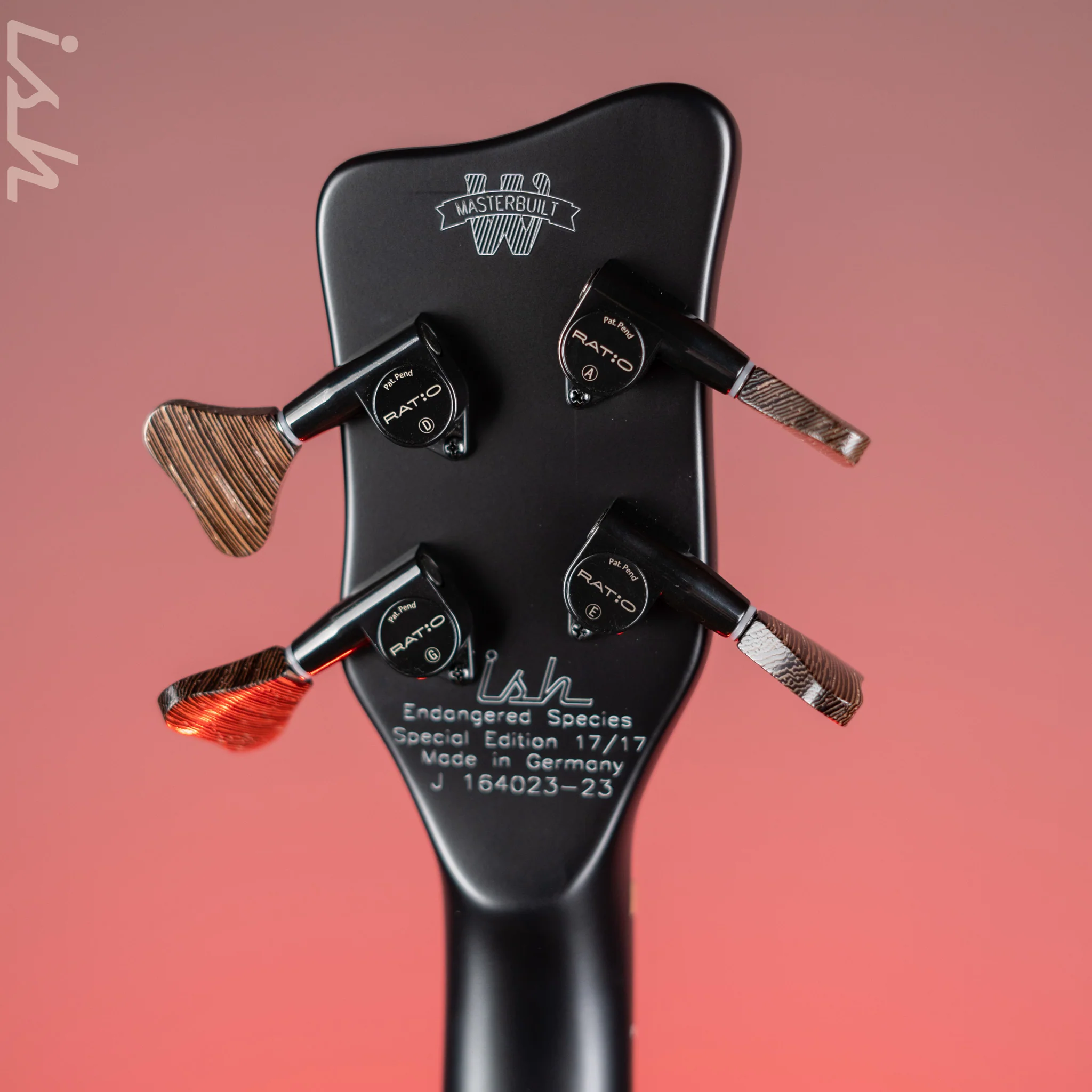 Ish x Warwick Dolphin SN TCS Custom Shop Endangered Species 4-String Bass Black Satin Wenge Fretboard - Image 10