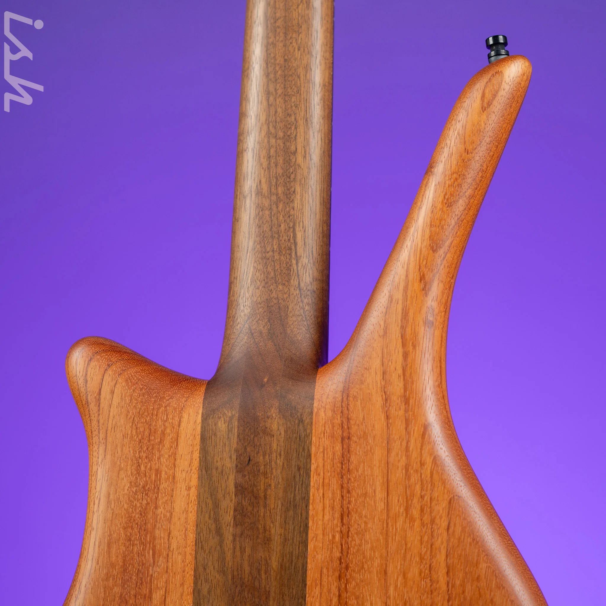 Ish x Warwick Dolphin SN TCS Custom Shop Endangered Species 4-String Bass Wenge Fretboard - Image 8