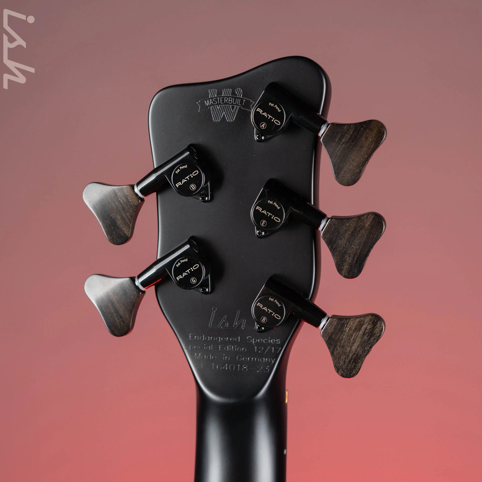 Ish x Warwick Dolphin SN TCS Custom Shop Endangered Species 5-String Bass Black Satin Ebony Fretboard Pre-Order - Image 10