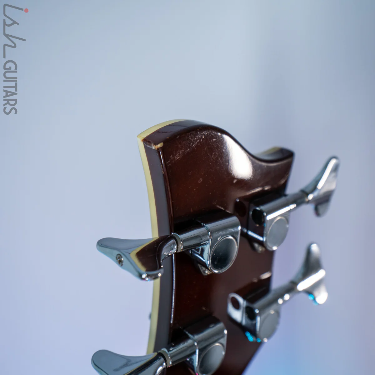 Jay Turser Semi-Hollow Bass Sunburst - Image 9