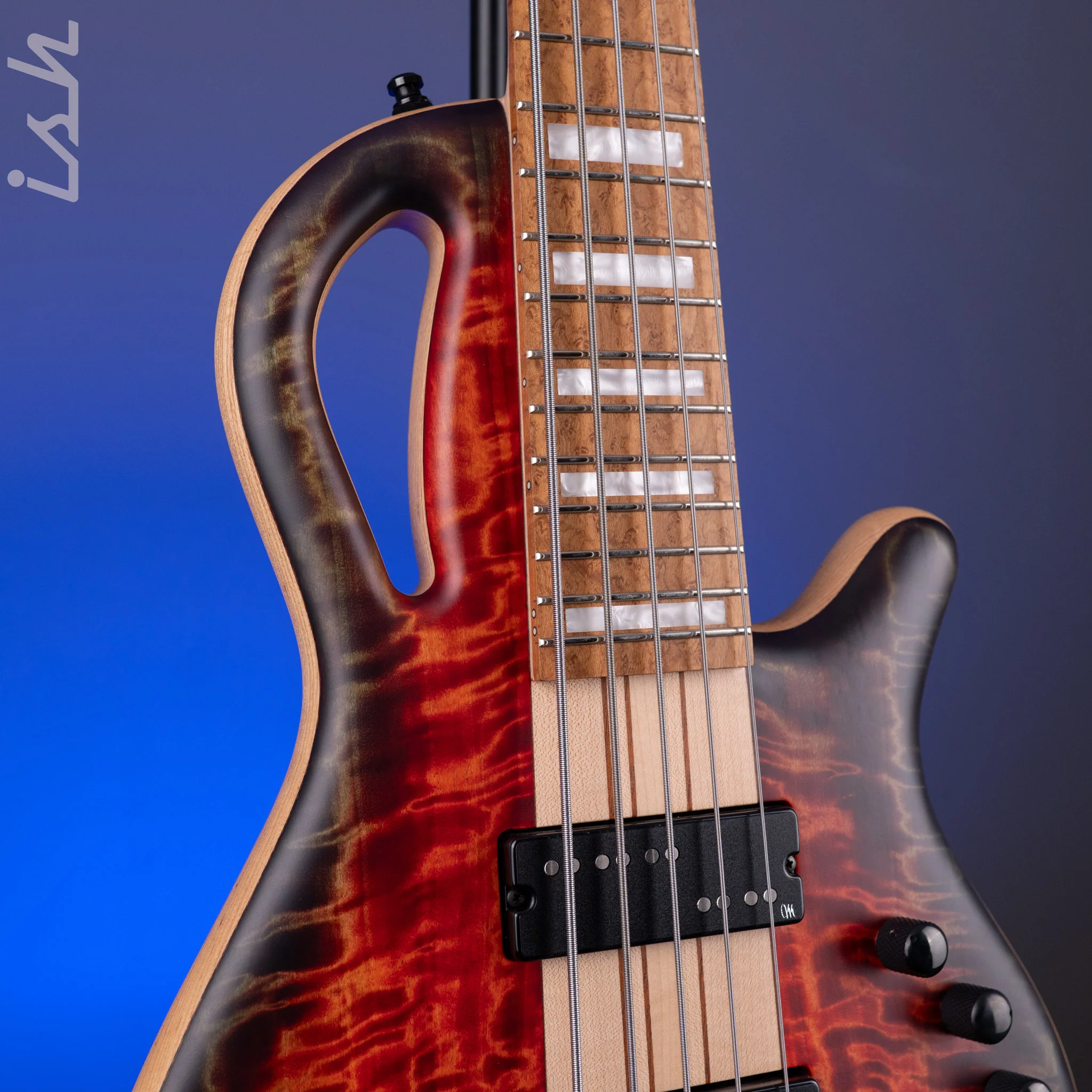 Mayones Caledonius 5 Curly Poplar - Image 4