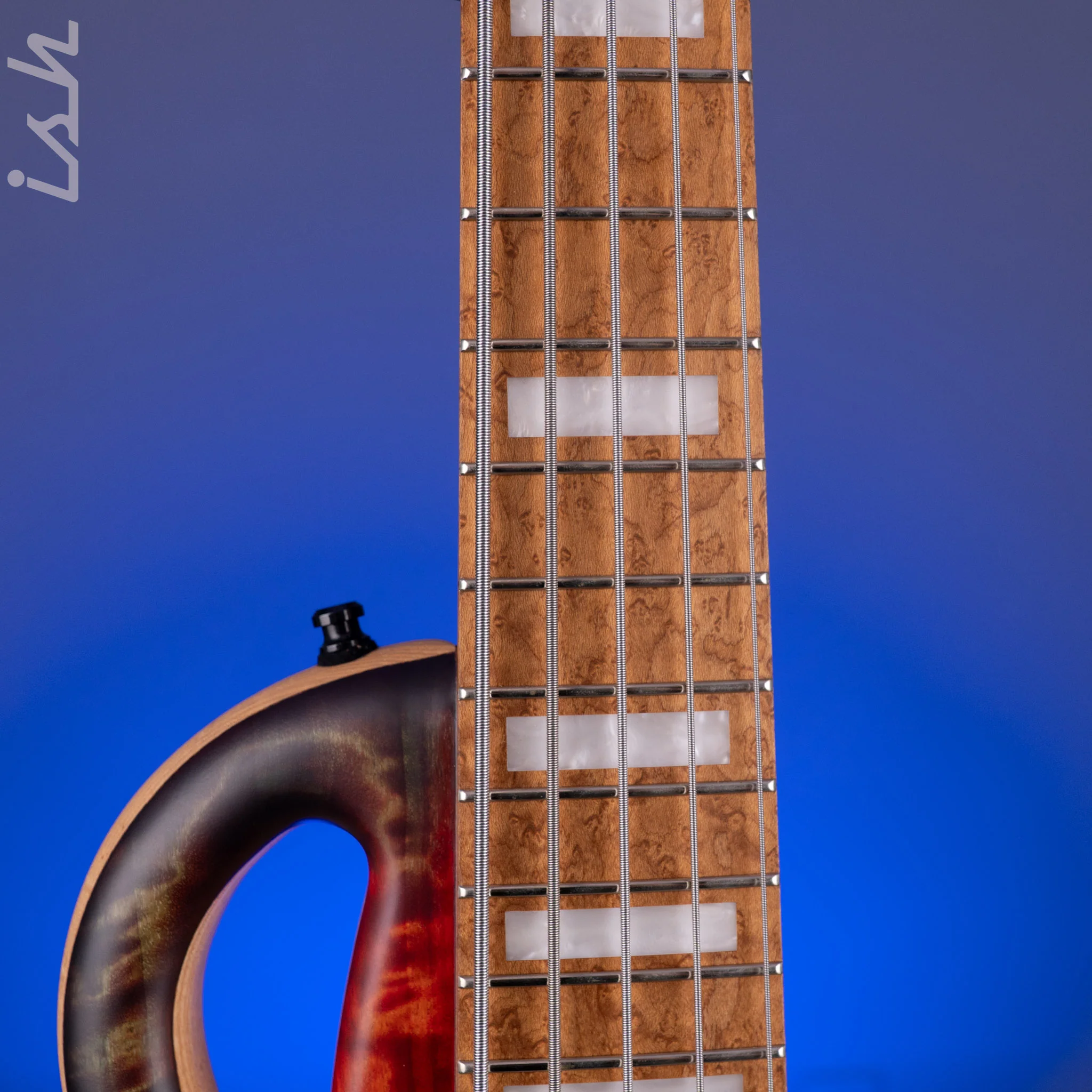 Mayones Caledonius 5 Curly Poplar - Image 6