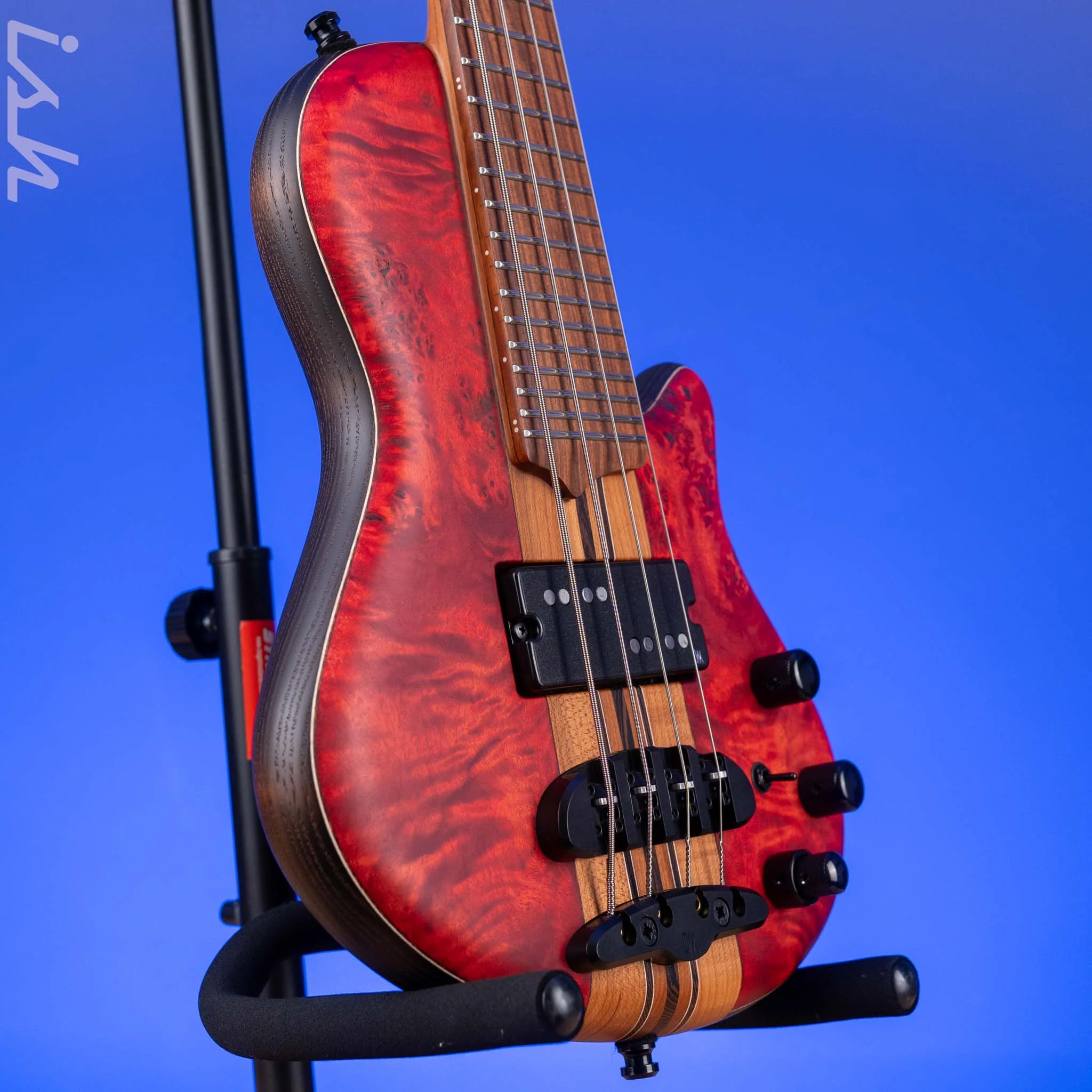 Mayones Cali 4 Mini Bass Eye Poplar - Image 3