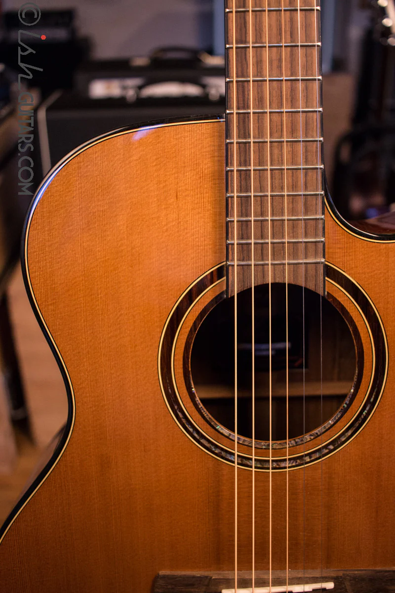 Merida Extrema Diana DG-15FOGACES Acoustic Guitar - Image 3
