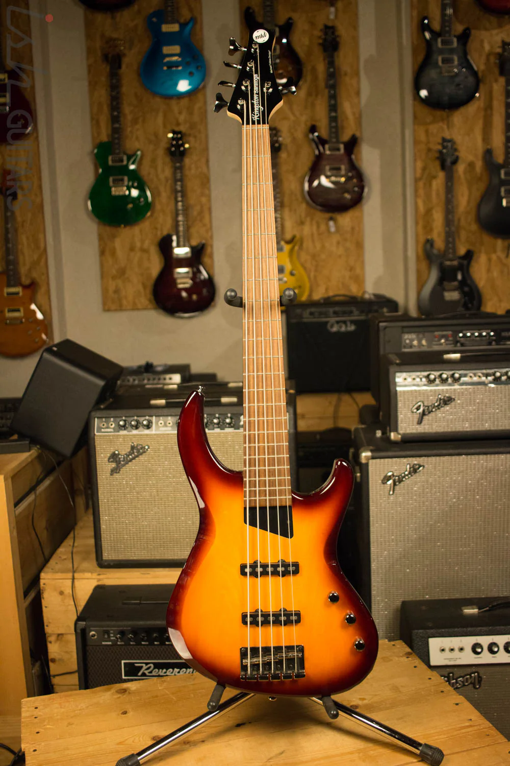 MTD Kingston Saratoga 5 String - Image 2
