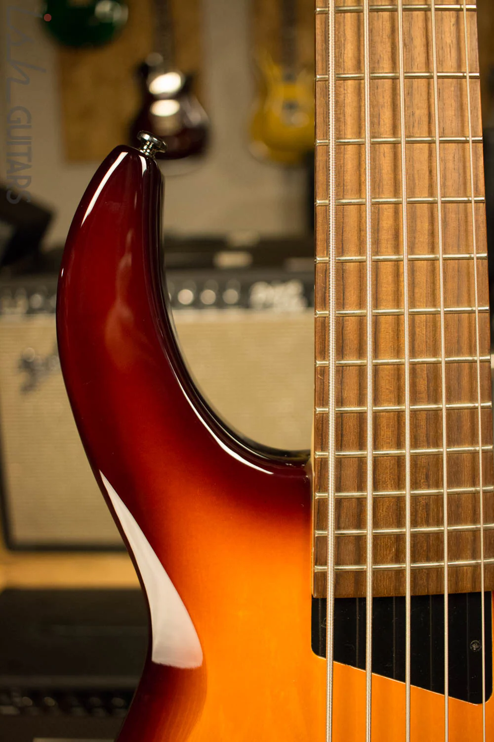 MTD Kingston Saratoga 5 String - Image 3