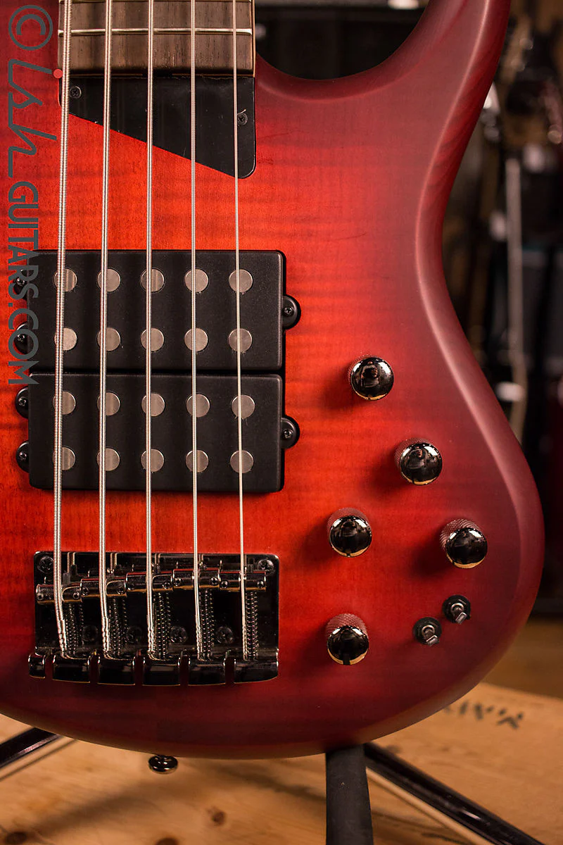 MTD Kingston Super 5 Dr. Brown's Burst Bass Guitar Humbuckers - Image 4