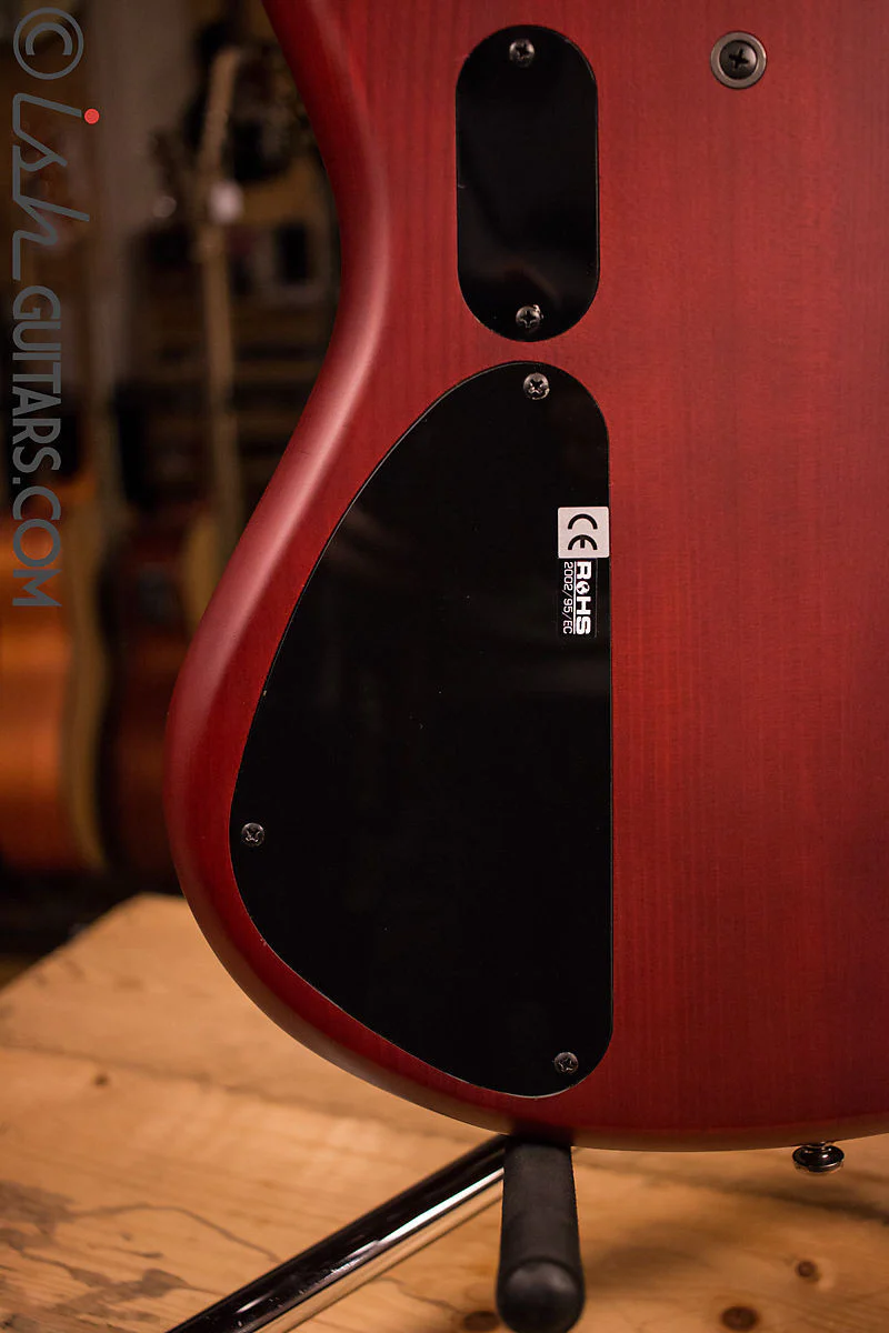 MTD Kingston Super 5 Dr. Brown's Burst Bass Guitar Humbuckers - Image 9