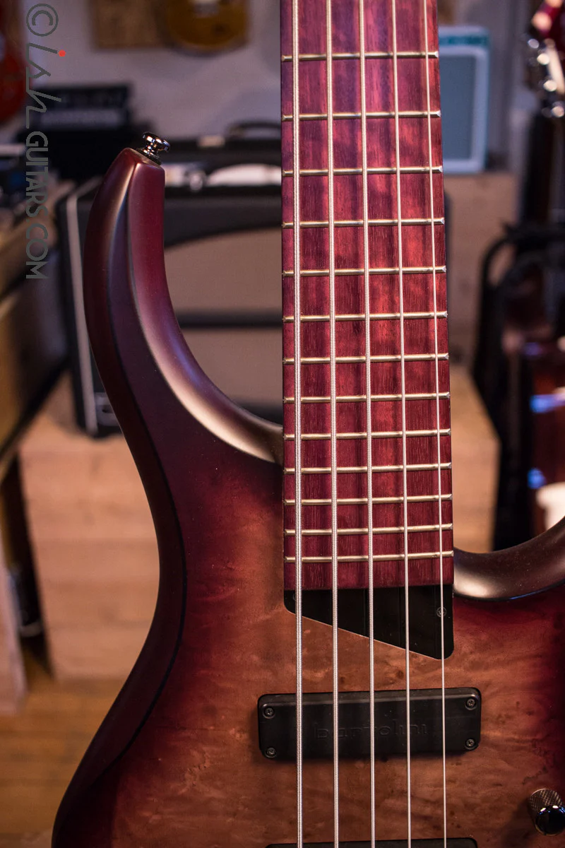 MTD Kingston Andrew Gouche AG5 Signature - Image 3