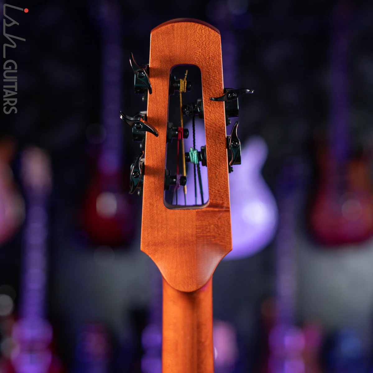 NS Design CR5 Fretted OMNI 5 String Stand up Bass - Image 12
