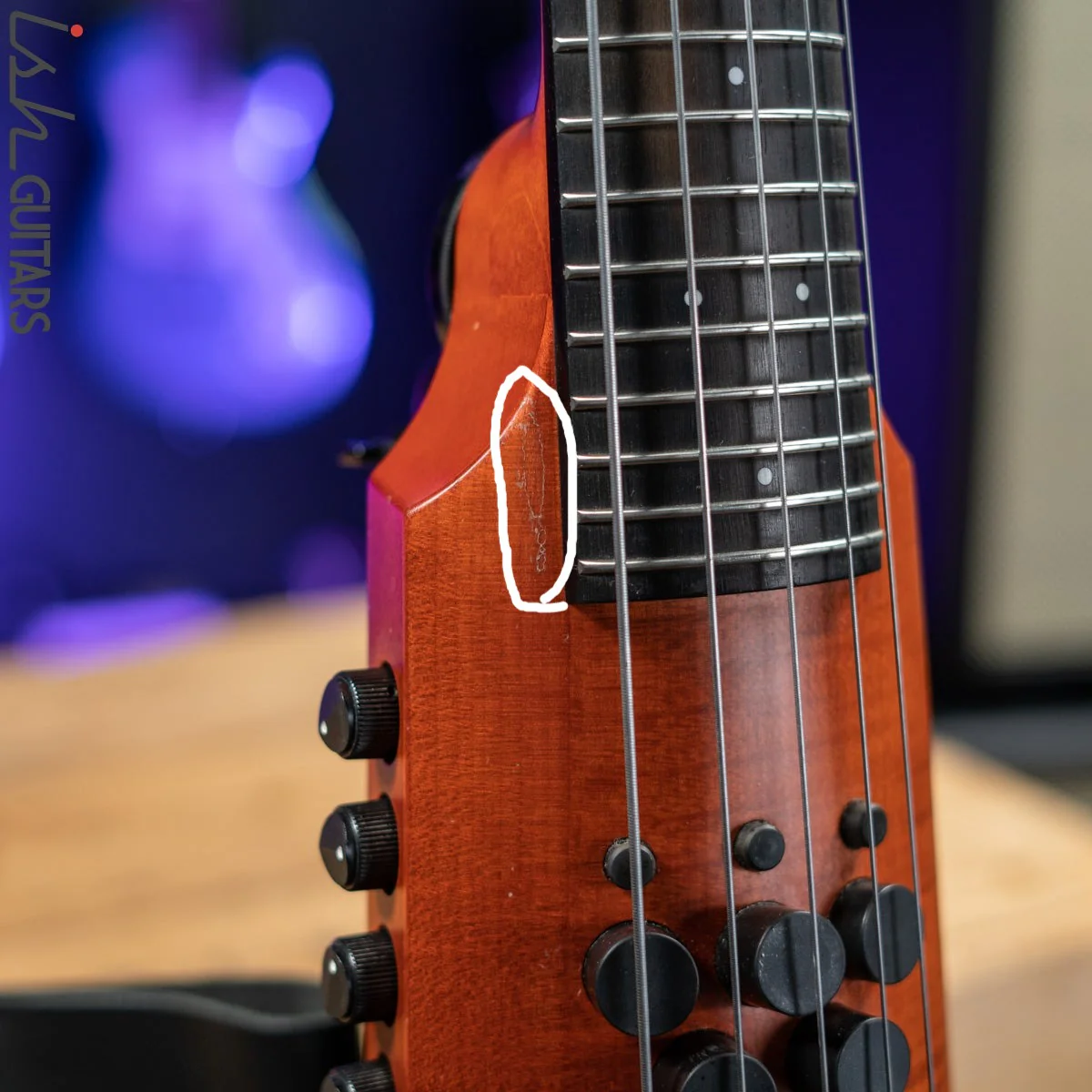 NS Design CR5 Fretted OMNI 5 String Stand up Bass - Image 4