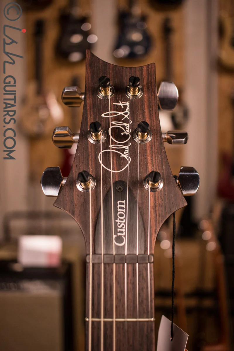 Paul Reed Smith Custom 24 Custom Color "Trippy Aqua Burst" - Image 6