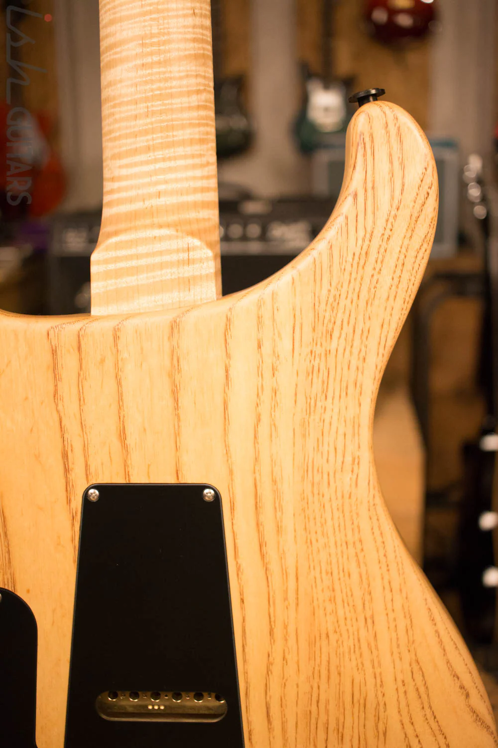 Paul Reed Smith PRS Custom 24 Semi-Hollow Wood Library Quilt Swamp Ash Aquableux - Image 10