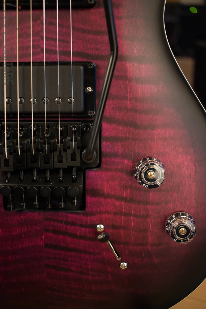 Paul Reed Smith Dustie Waring CE24 Floyd Limited Waring Burst - Image 4