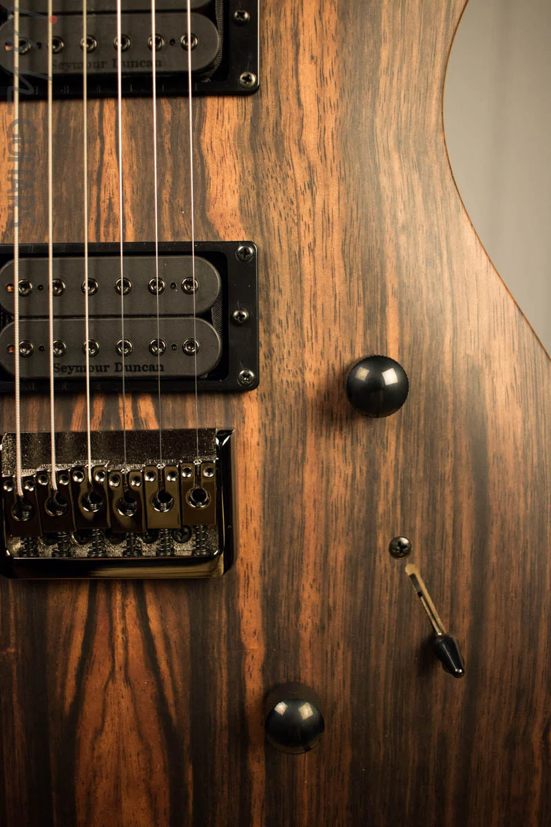 Paul Reed Smith PRS Mark Holcomb SE Macassar Ebony Natural Satin Ish Guitars Exclusive #25 - Image 4