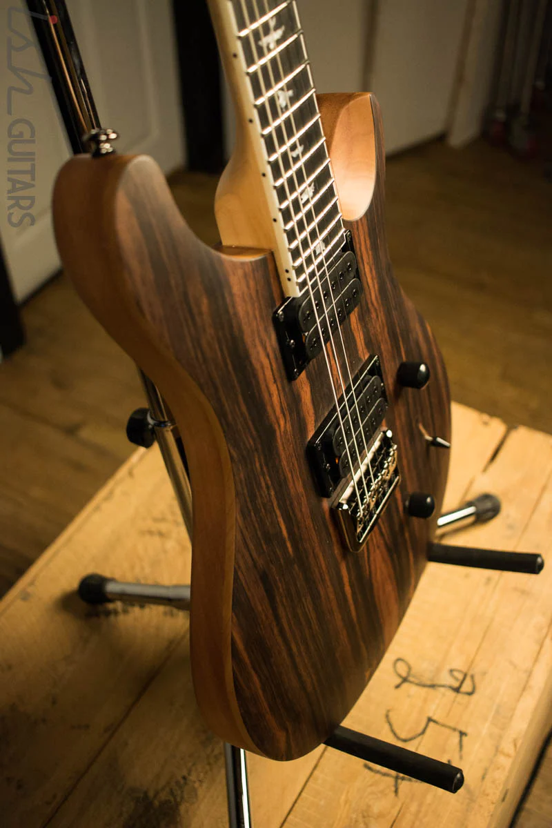 Paul Reed Smith PRS Mark Holcomb SE Macassar Ebony Natural Satin Ish Guitars Exclusive #25 - Image 6