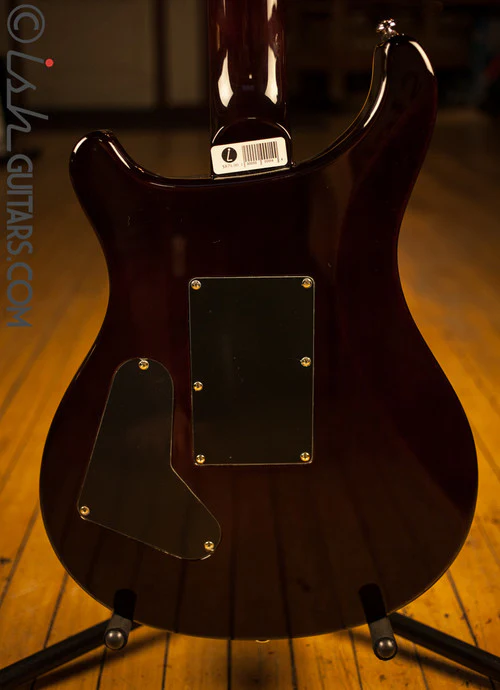 Paul Reed Smith SE Custom 24 Floyd Custom Inlays - Image 10