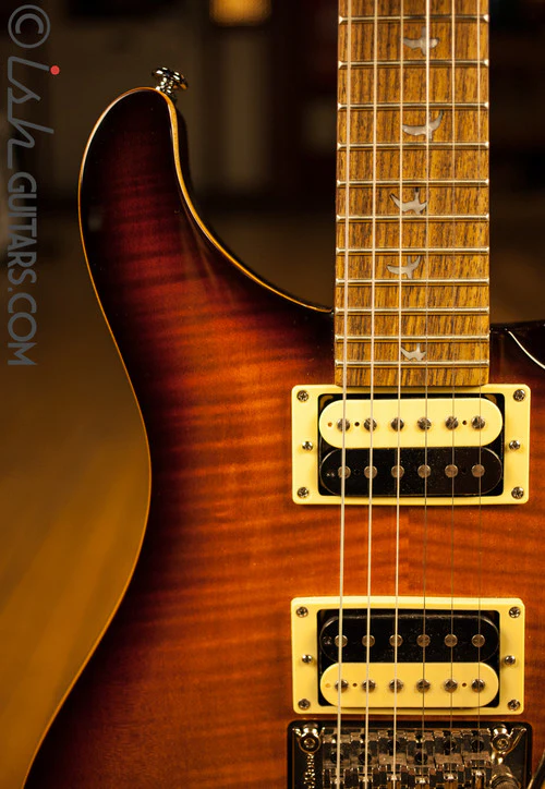 Paul Reed Smith SE Custom 24 Floyd Custom Inlays - Image 3