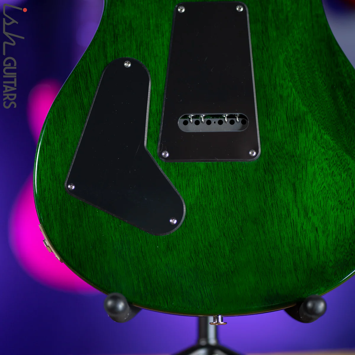 2021 PRS CE 24 Eriza Verde Electric Guitar - Image 10