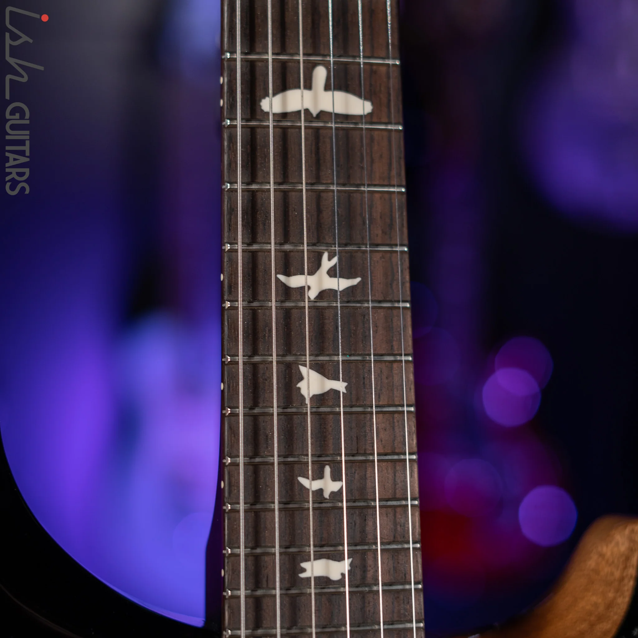 PRS CE 24 Semi-Hollow Black Gloss - Image 5