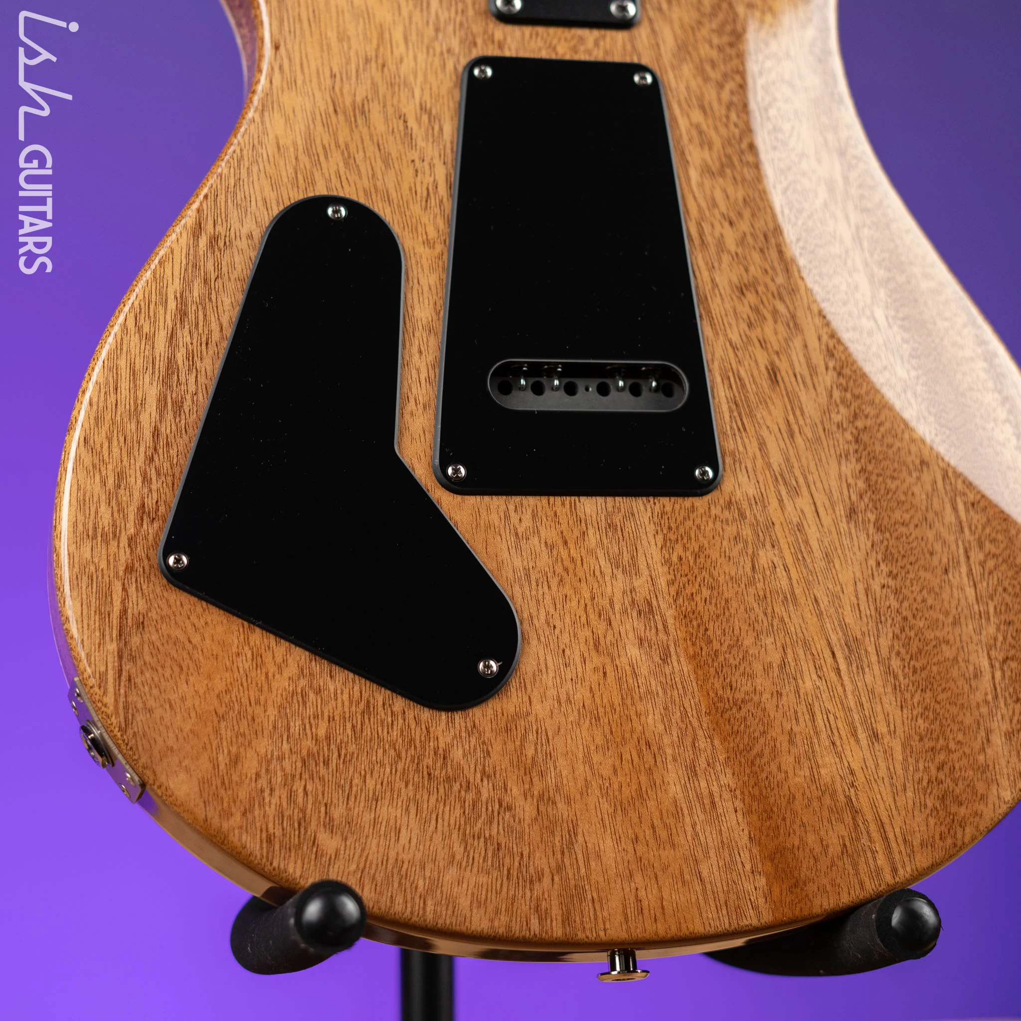 PRS CE 24 Semi-Hollow Eriza Verde - Image 9