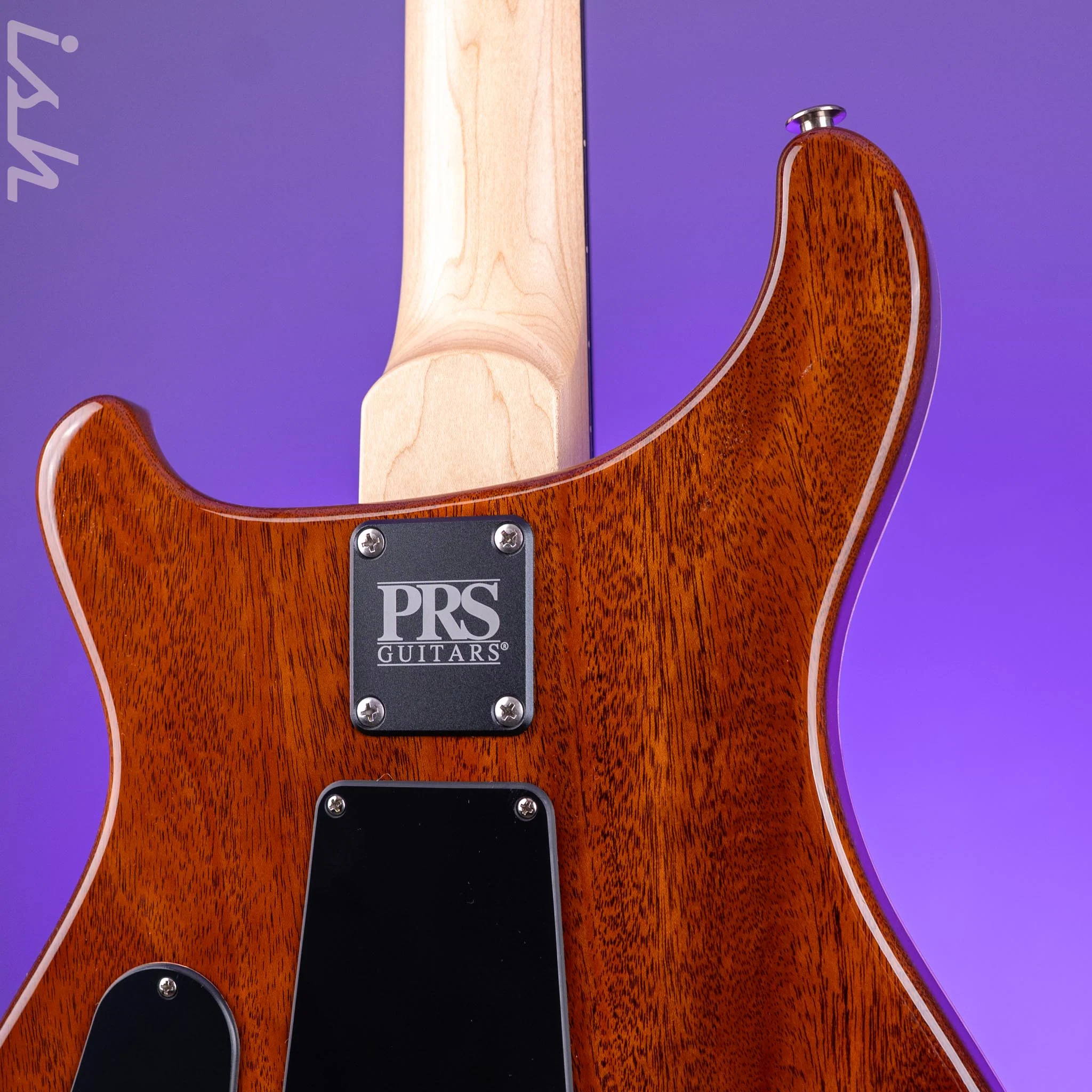 PRS CE 24 Sprayer's Choice Robin's Egg Blue Hollowflake Speckle - Image 13