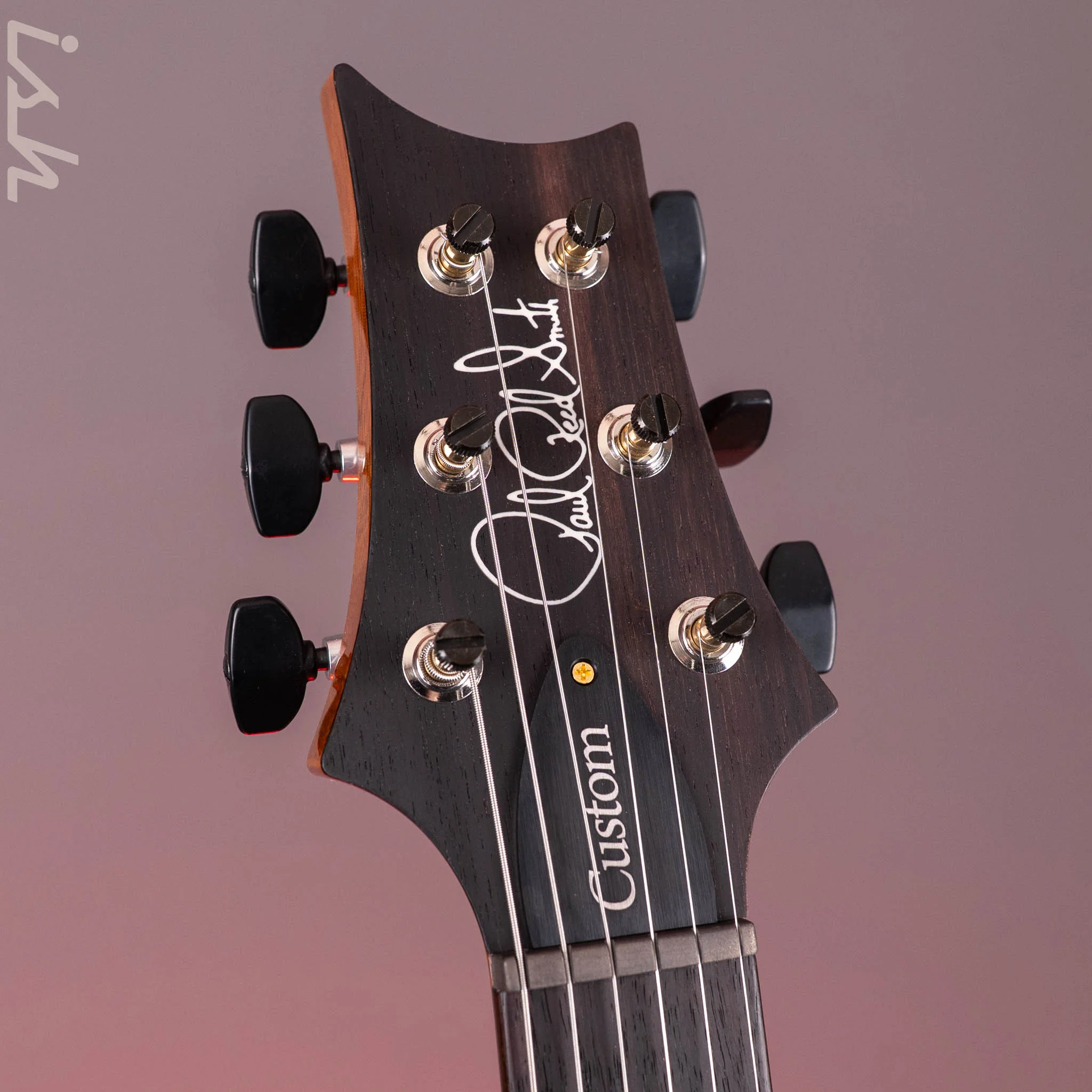 PRS Custom 24 Limited Edition 10-Top Arctic Blue - Image 7