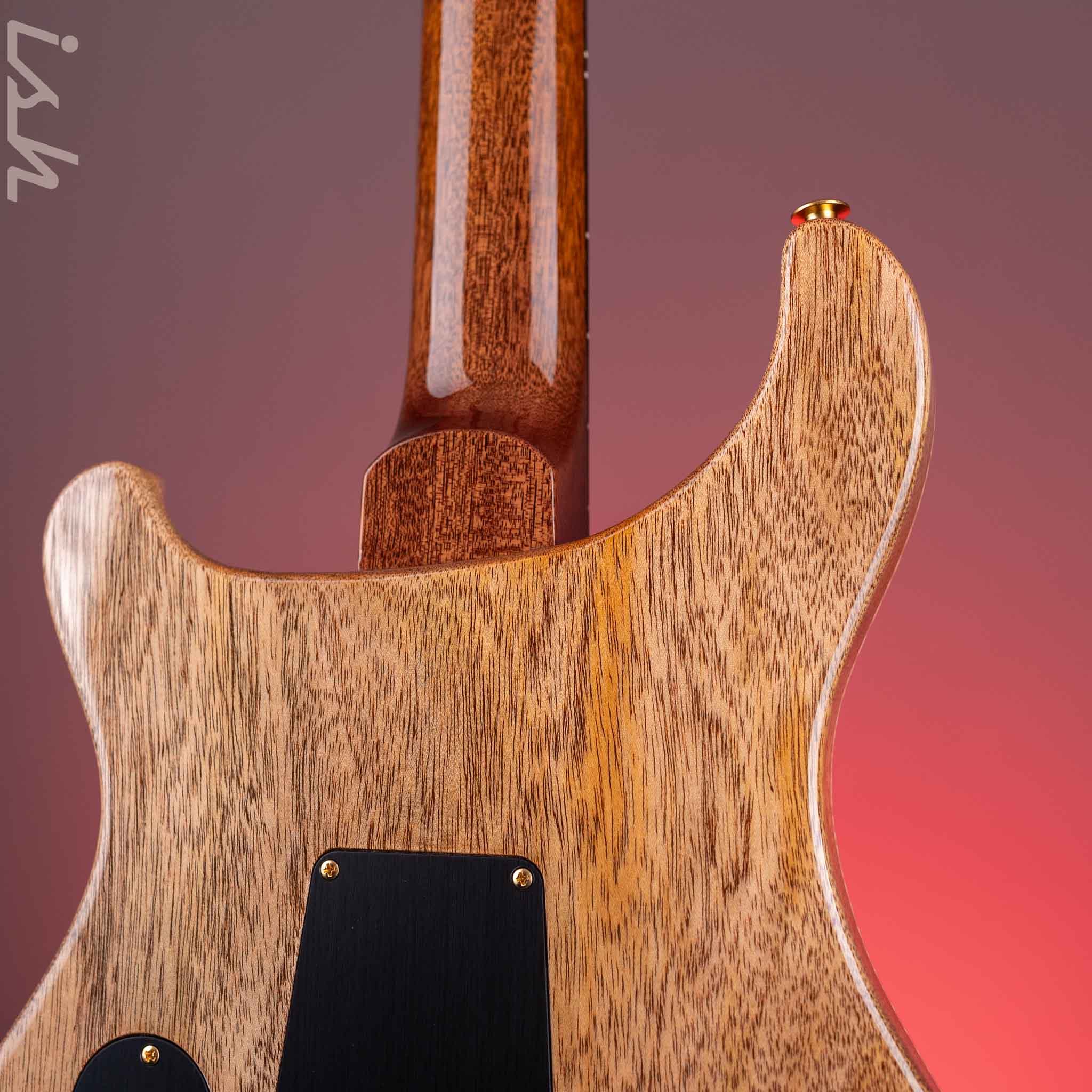 PRS Custom 24 10-Top Electric Guitar Carrol Blue Demo - Image 8