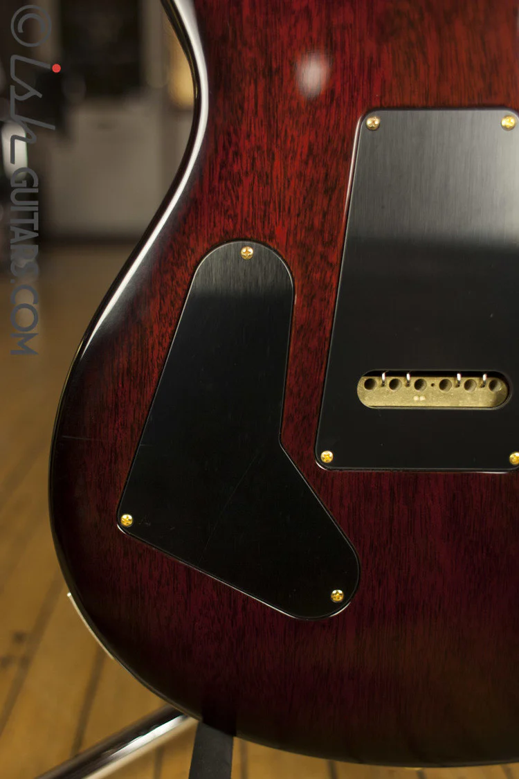 PRS Custom 24 Artist Package Custom Color - Image 10