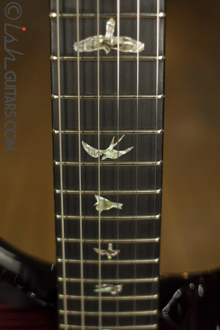 PRS Custom 24 Artist Package Custom Color - Image 6