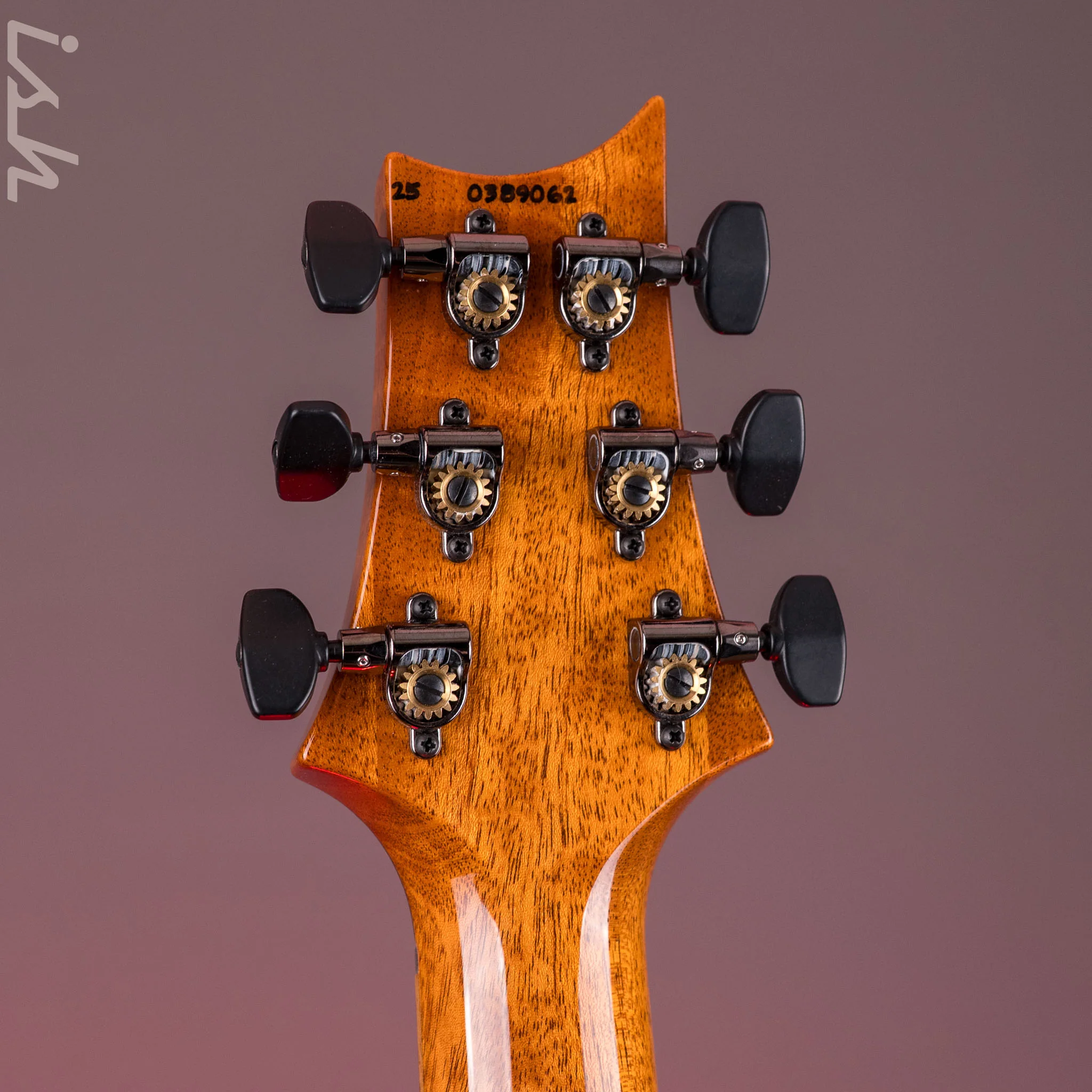PRS Custom 24 Purple Hollowflake *Ziricote Fretboard* Demo - Image 14