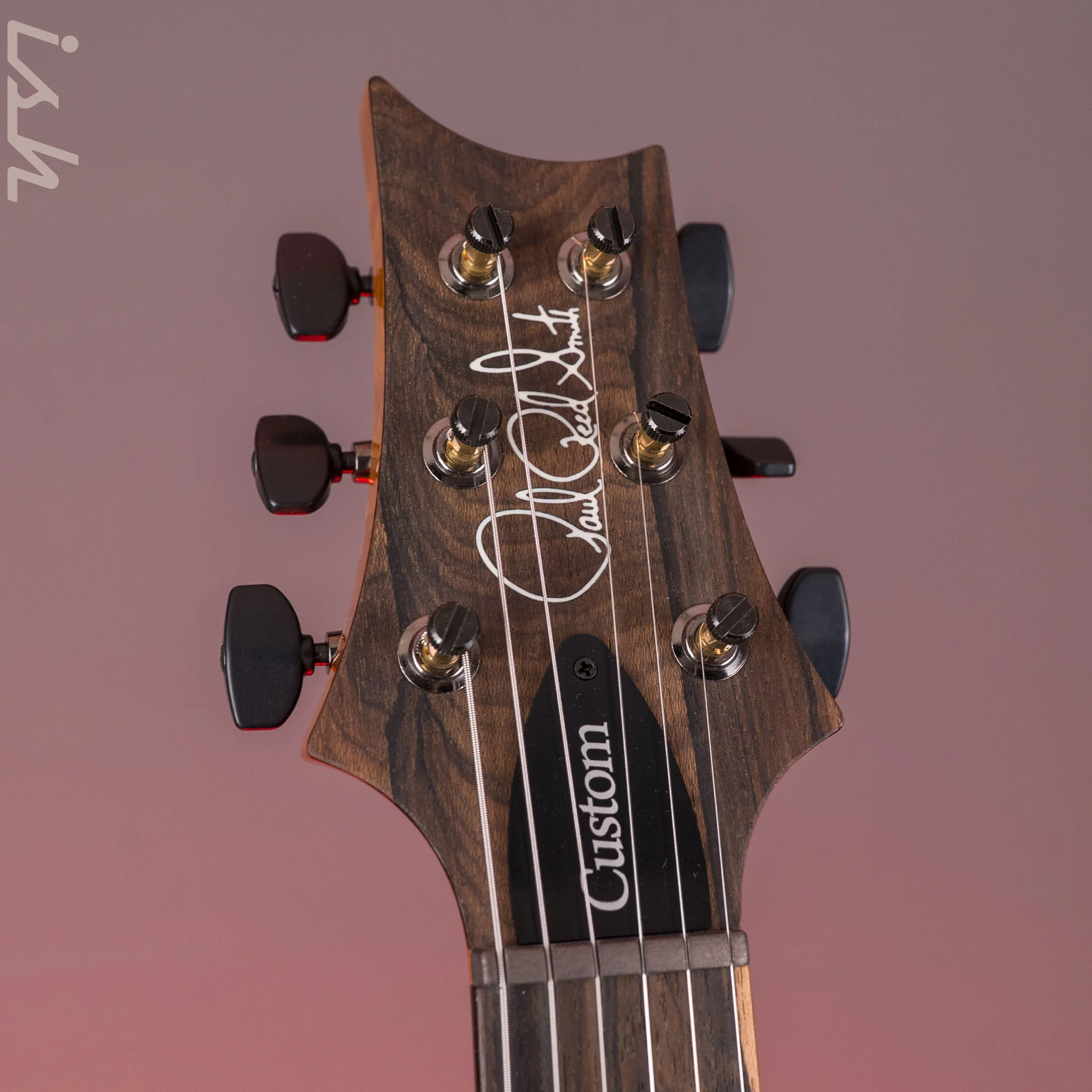 PRS Custom 24 Purple Hollowflake *Ziricote Fretboard* Demo - Image 8