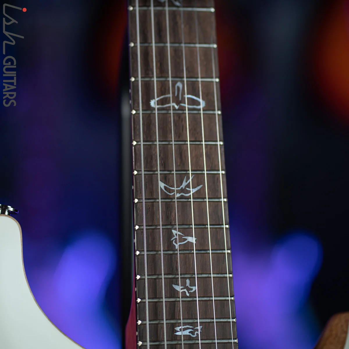 PRS Custom 24 Wood Library Antique White Opaque Satin - Image 6