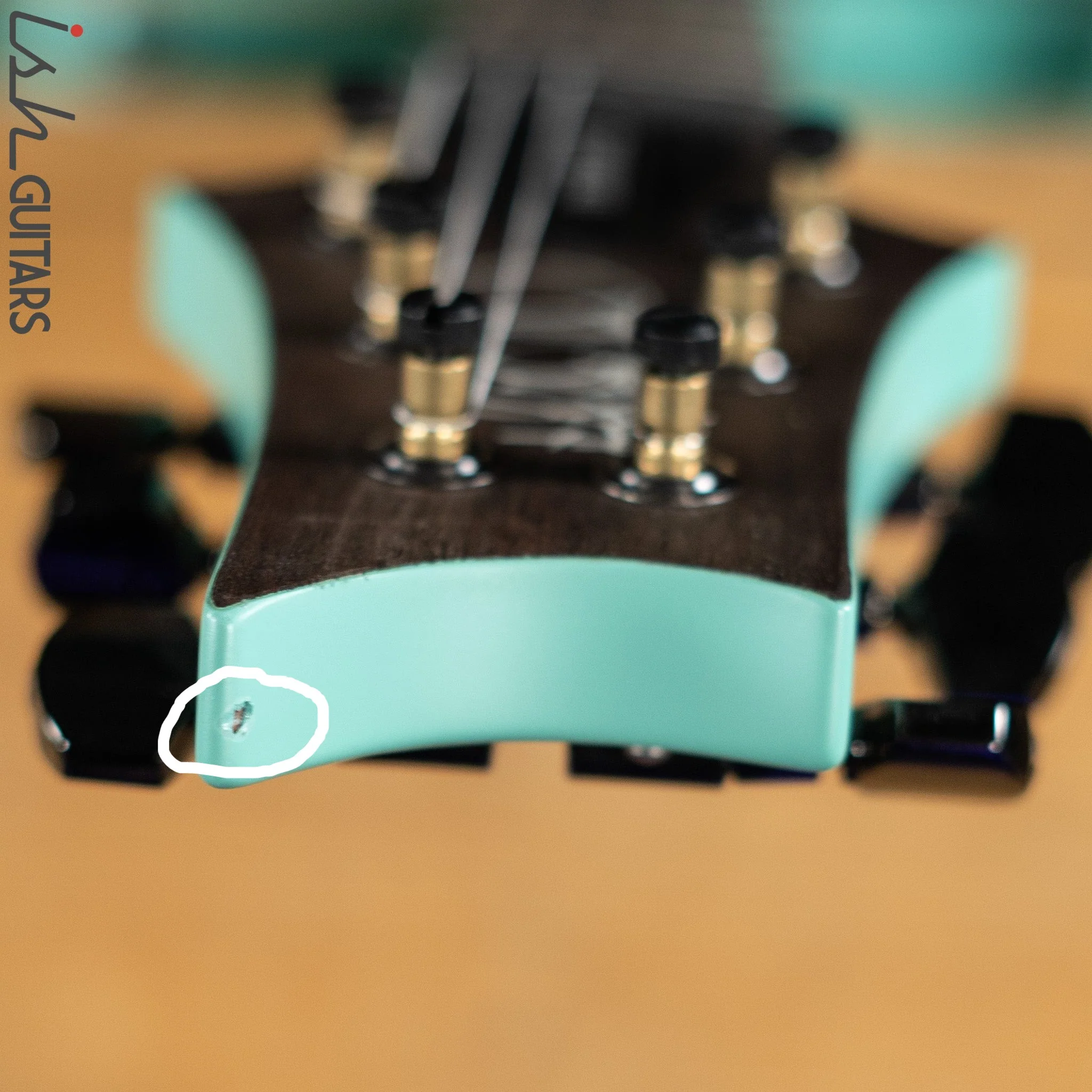 PRS Custom 24 Wood Library Seafoam Green Satin Demo - Image 12