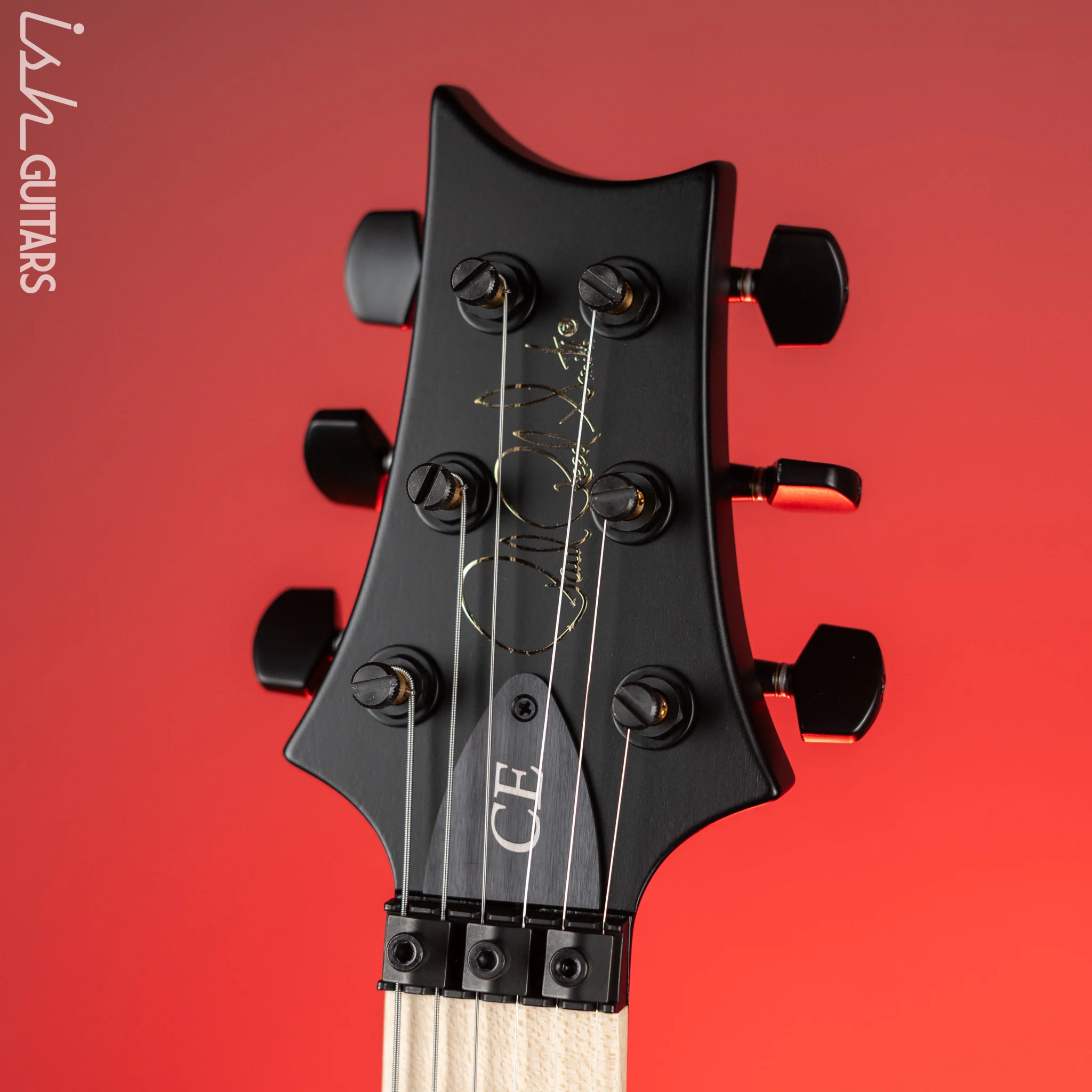 PRS Dustie Waring Signature CE 24 Floyd Black Top Satin Nitro - Image 6