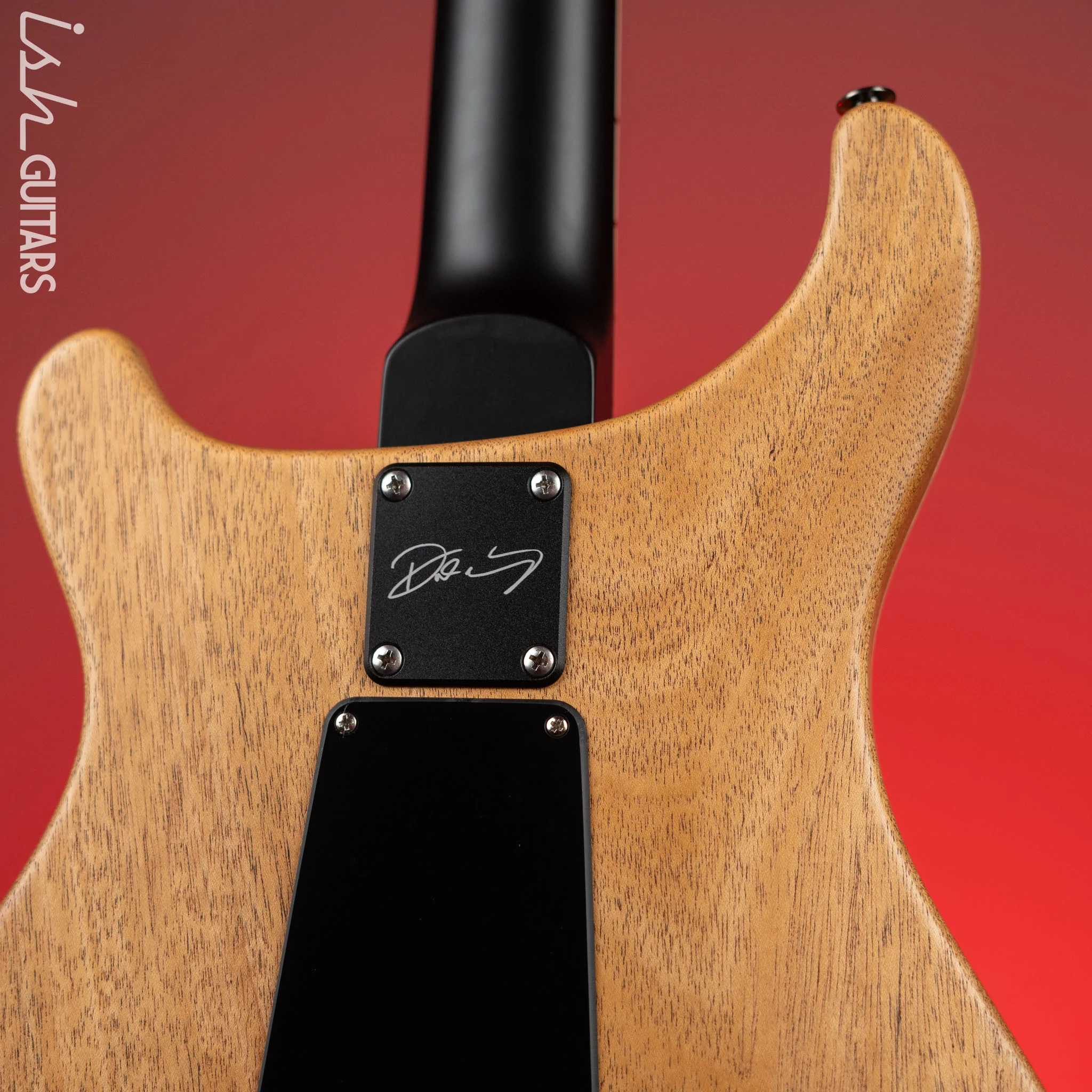PRS Dustie Waring Signature CE 24 Floyd Black Top Satin Nitro - Image 9
