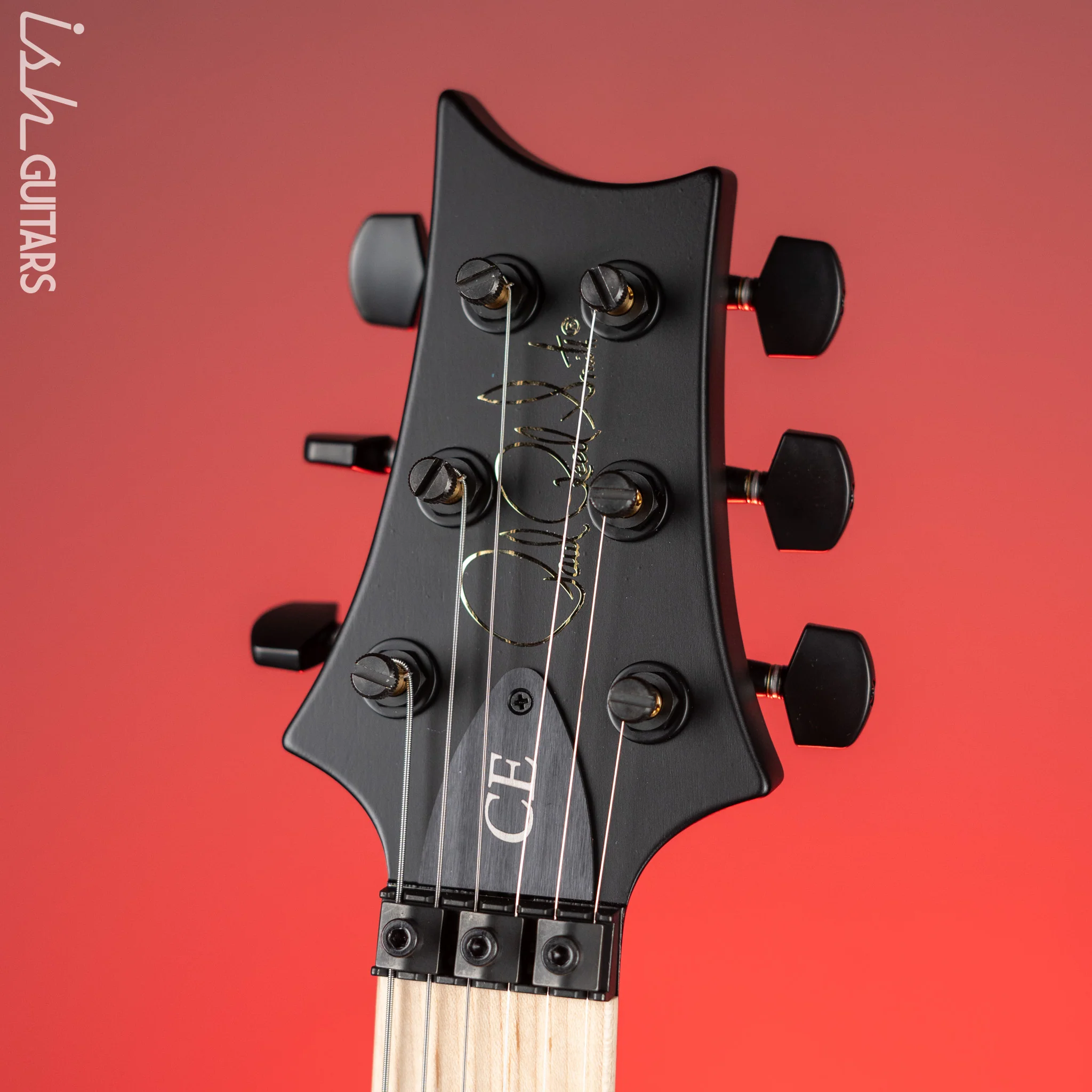 PRS Dustie Waring Signature CE 24 Floyd Gray Black Satin Nitro - Image 5