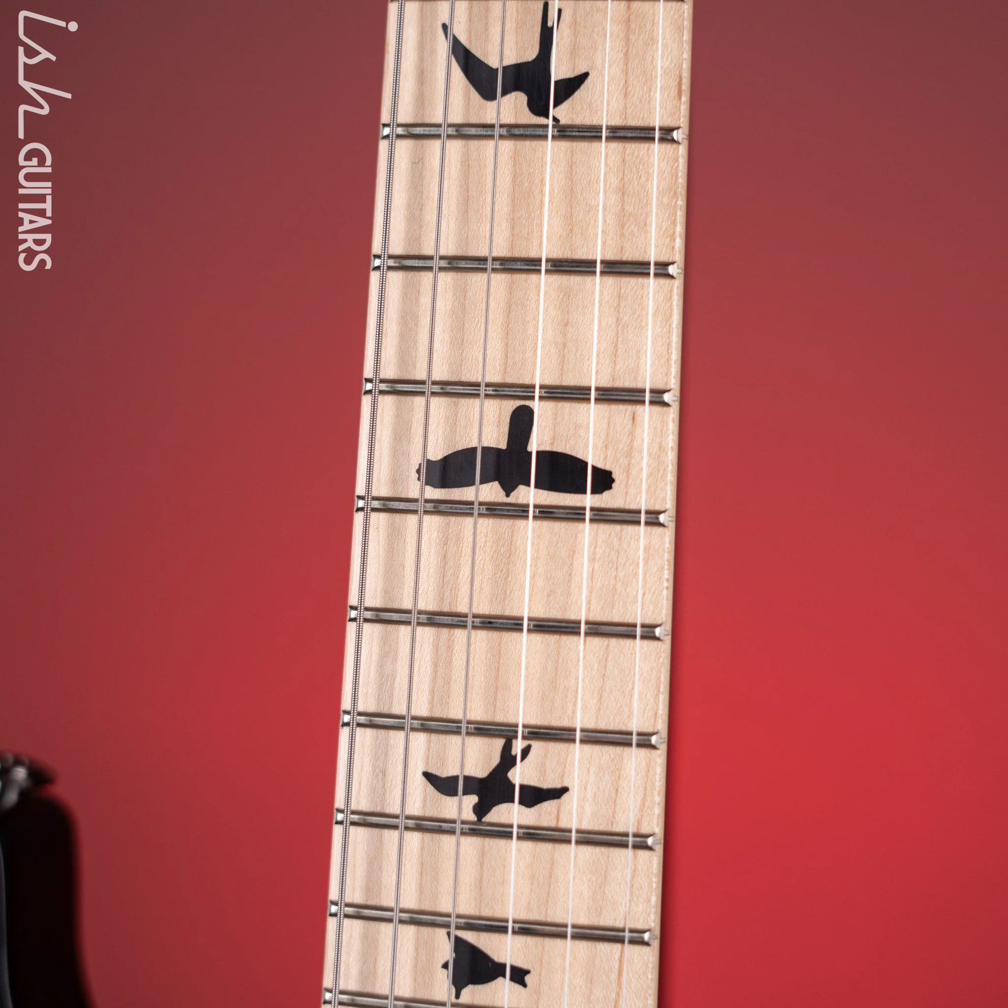 PRS Dustie Waring Signature CE 24 Floyd Satin Black Custom Binding - Image 5
