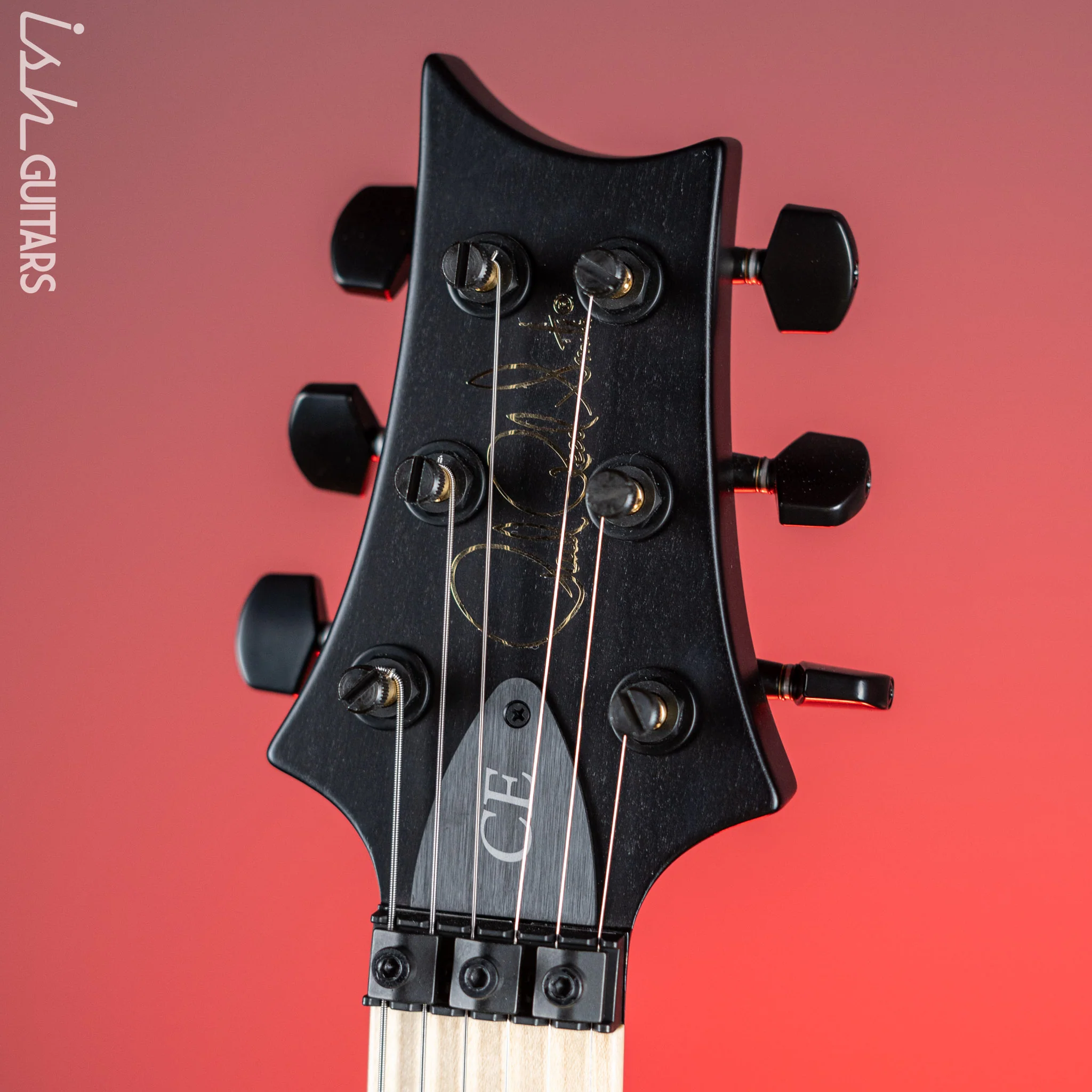 PRS Dustie Waring Signature CE 24 Floyd Satin Faded Blue Smokewrap - Image 6