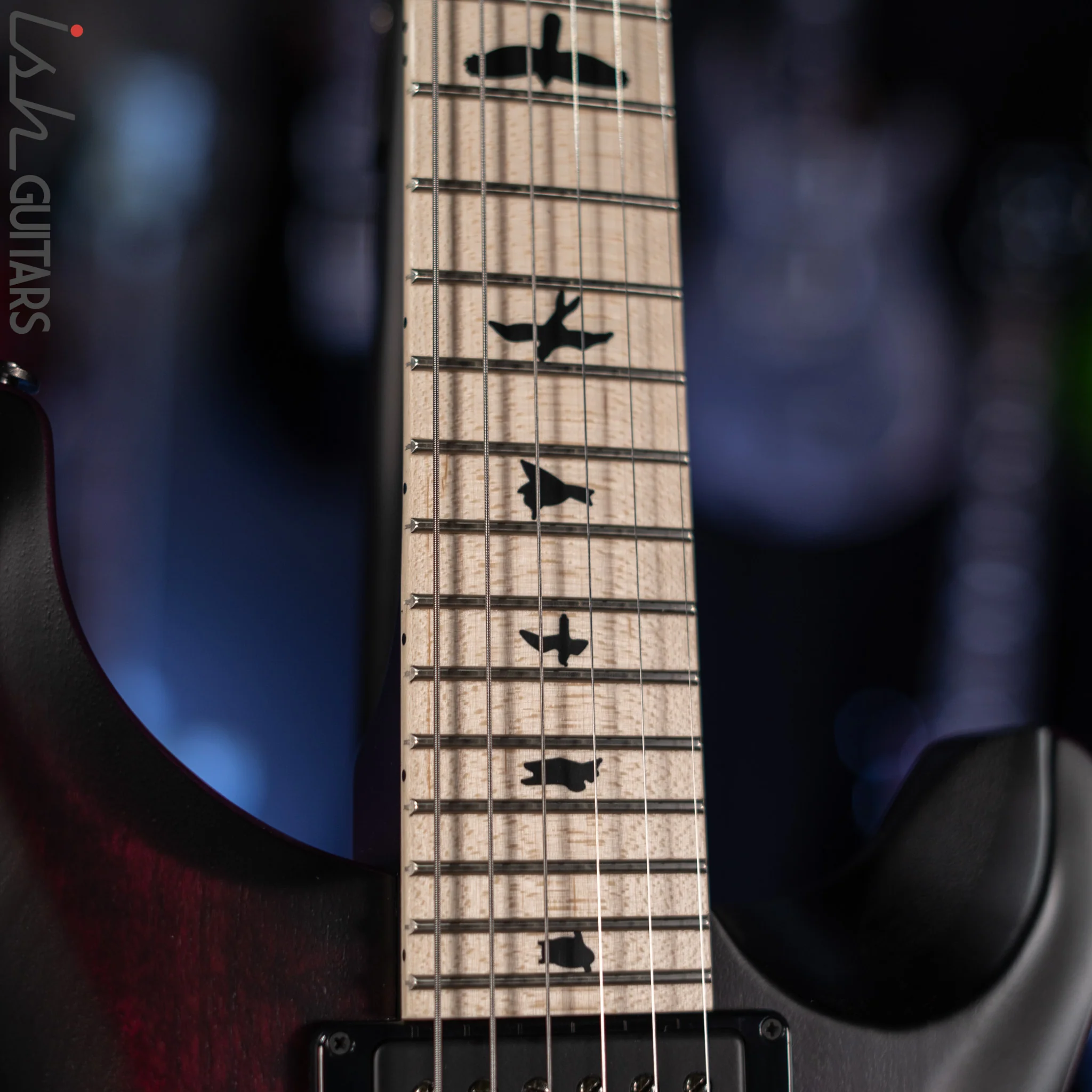 PRS Dustie Waring Signature CE 24 Floyd Waring Burst Custom Color Red Binding - Image 6