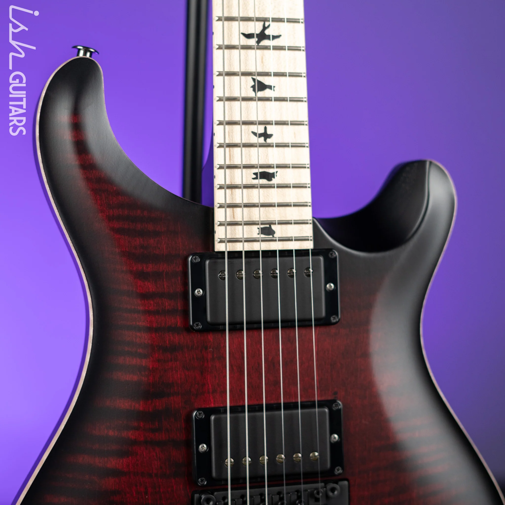 PRS Dustie Waring Signature CE 24 Floyd Rose Waring Burst - Image 3