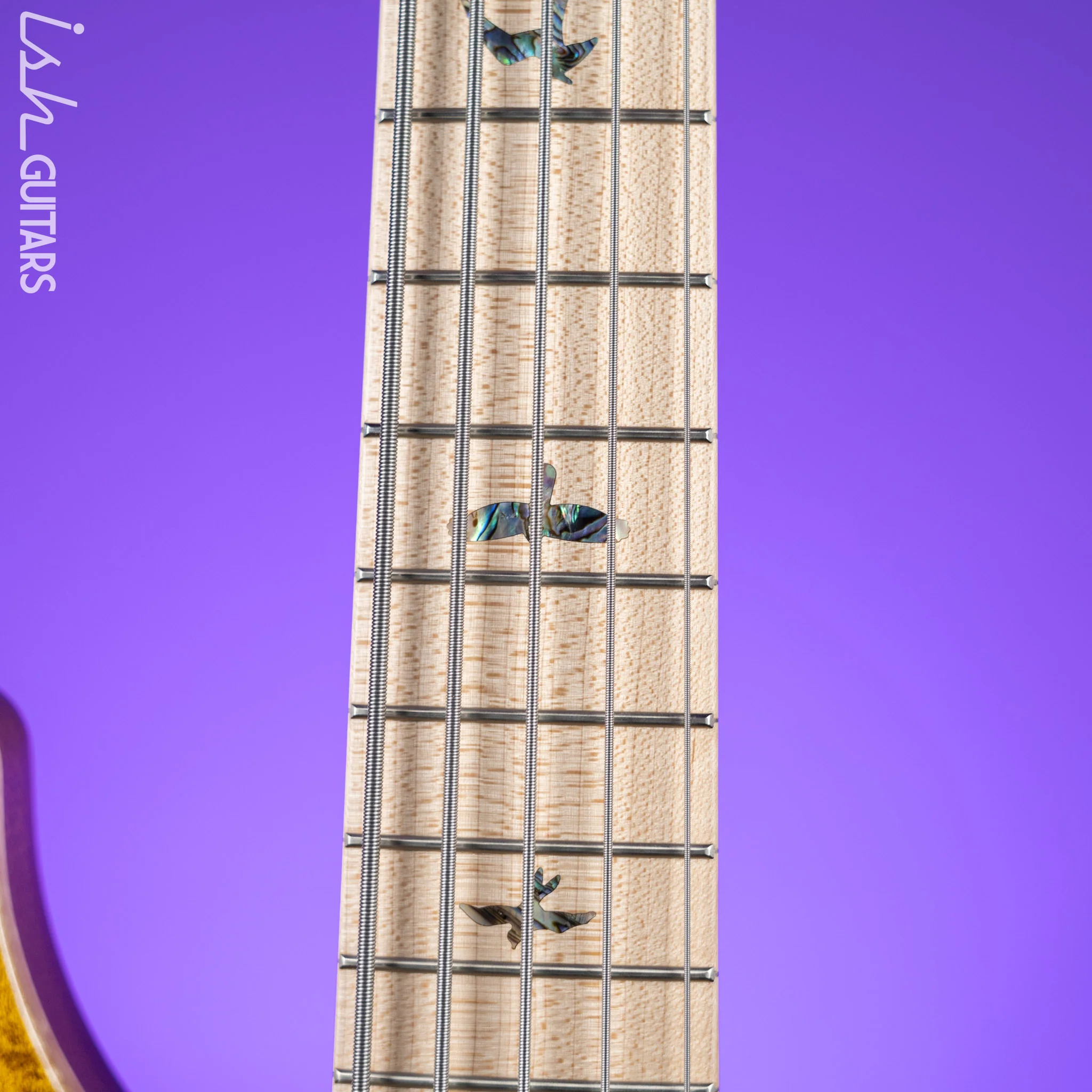 PRS Grainger 5-String Bass 10-Top Tiger Eye - Image 5