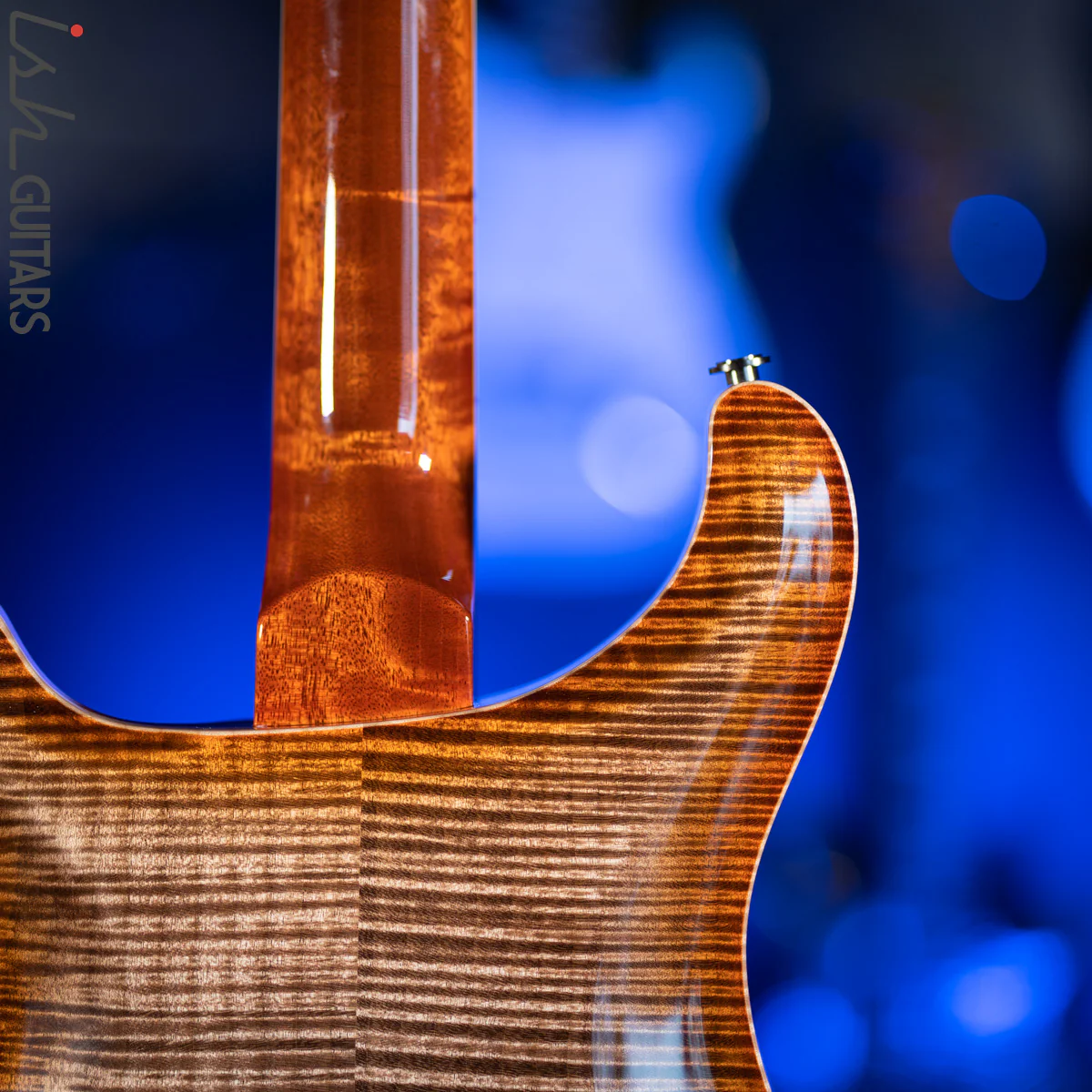 PRS McCarty 594 Hollowbody II Wood Library Autumn Sky - Image 13