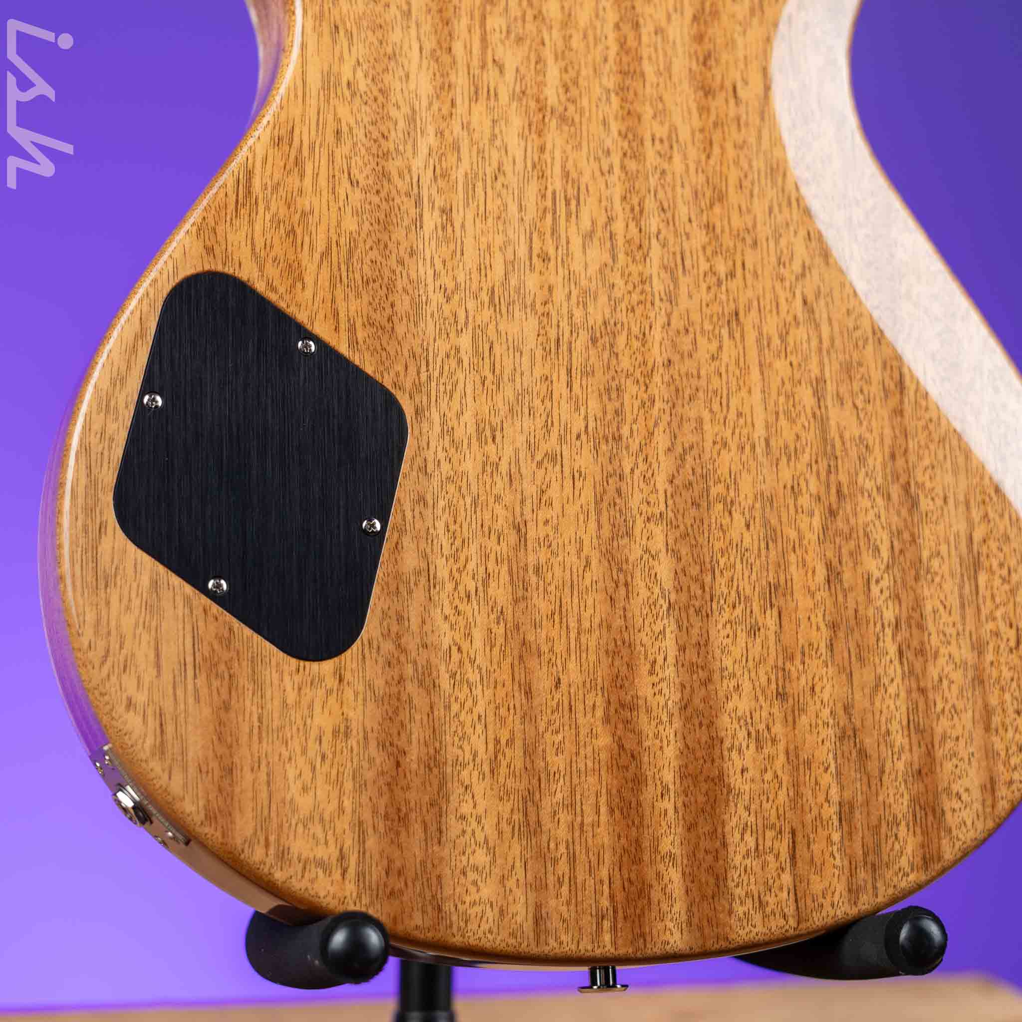 PRS McCarty 594 Singlecut Electric Guitar Gold Top - Image 9