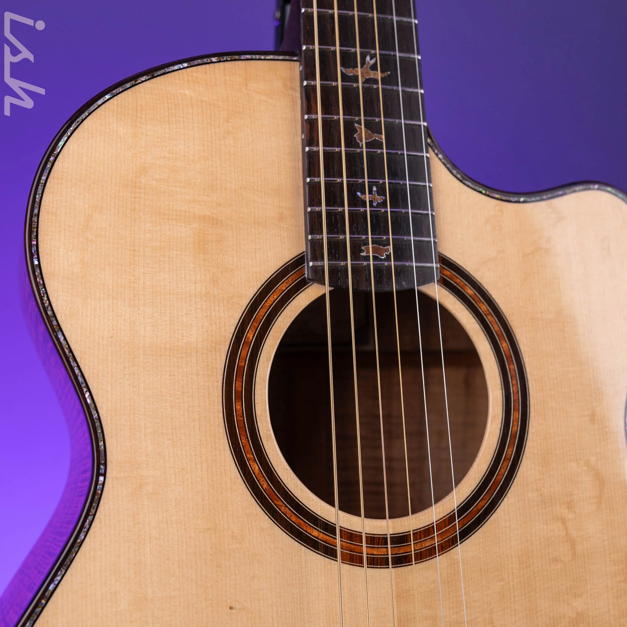 PRS Private Stock Angelus Acoustic Guitar Brazilian Rosewood - Image 4