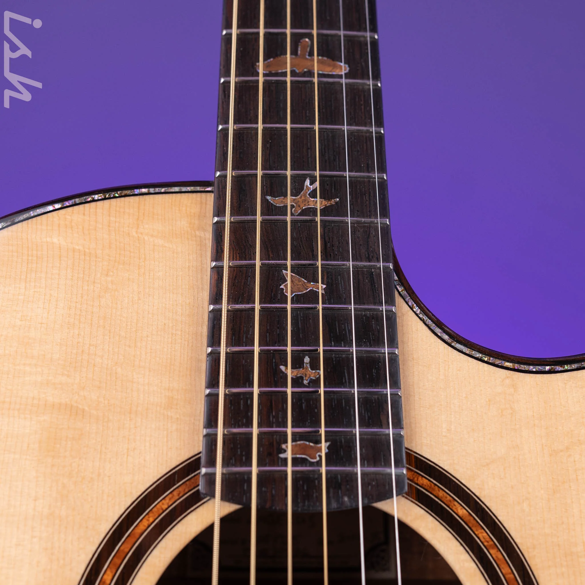 PRS Private Stock Angelus Acoustic Guitar Brazilian Rosewood - Image 6