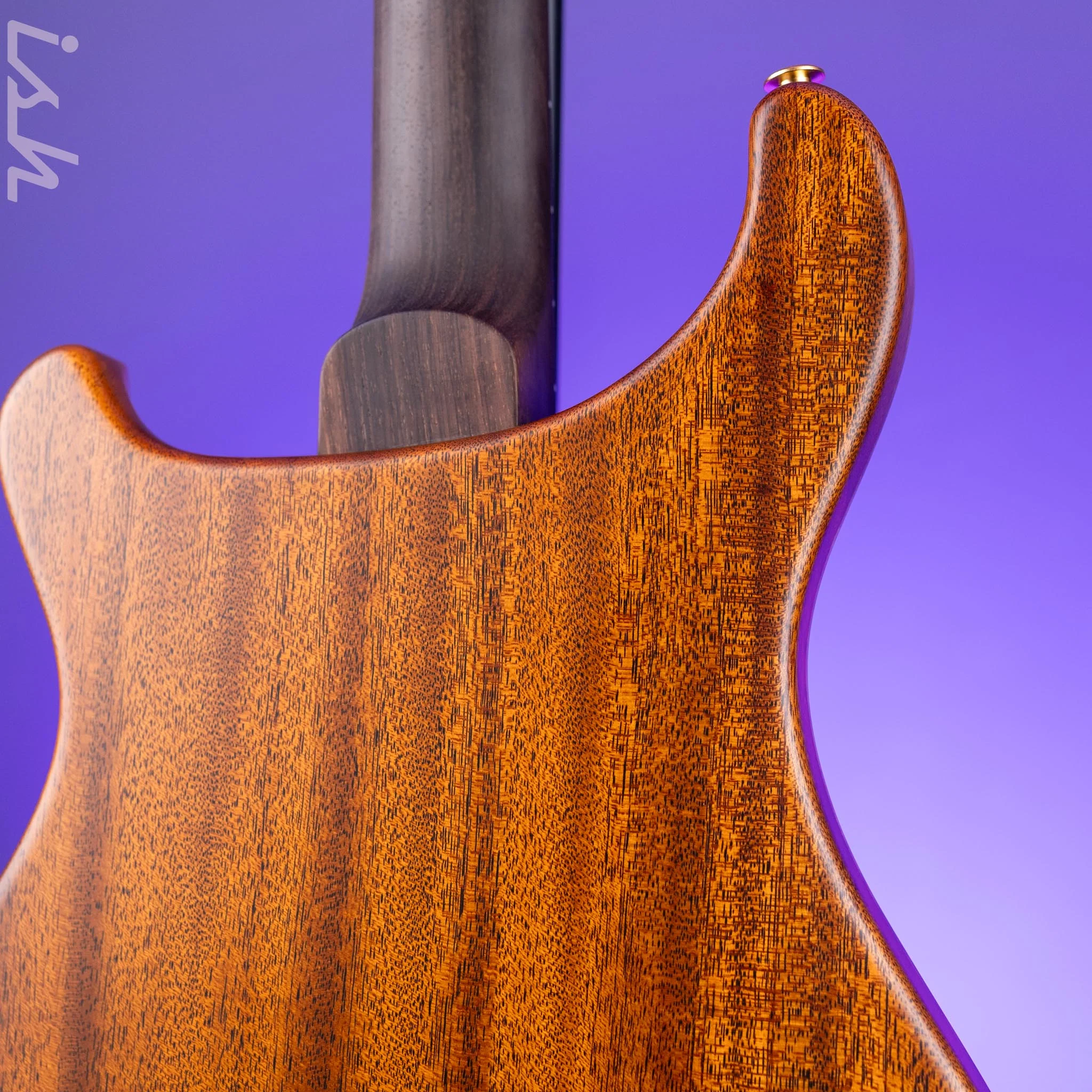 PRS Private Stock Custom 24 'Sculpture' Piezo Semi-Hollow Sculpture Guitar - Tree of Life - Image 10