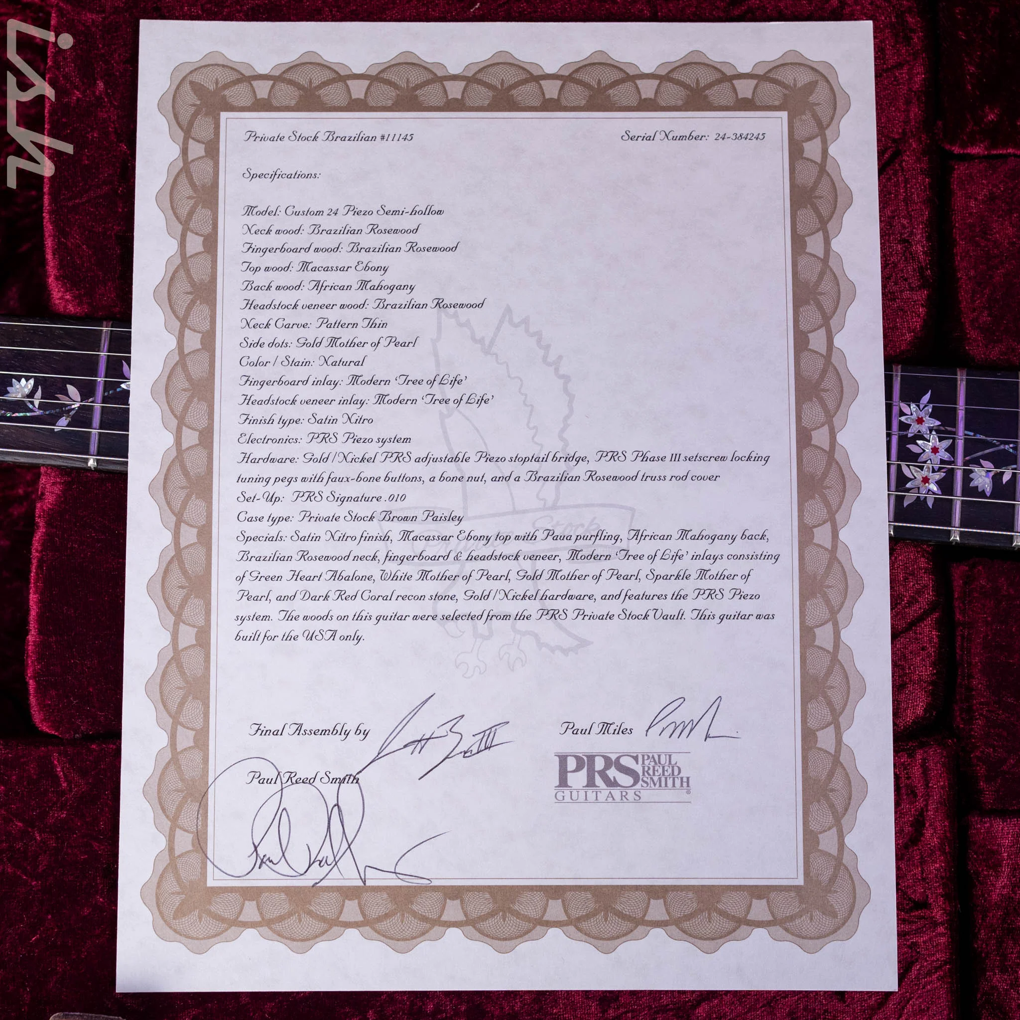 PRS Private Stock Custom 24 'Sculpture' Piezo Semi-Hollow Sculpture Guitar - Tree of Life - Image 14